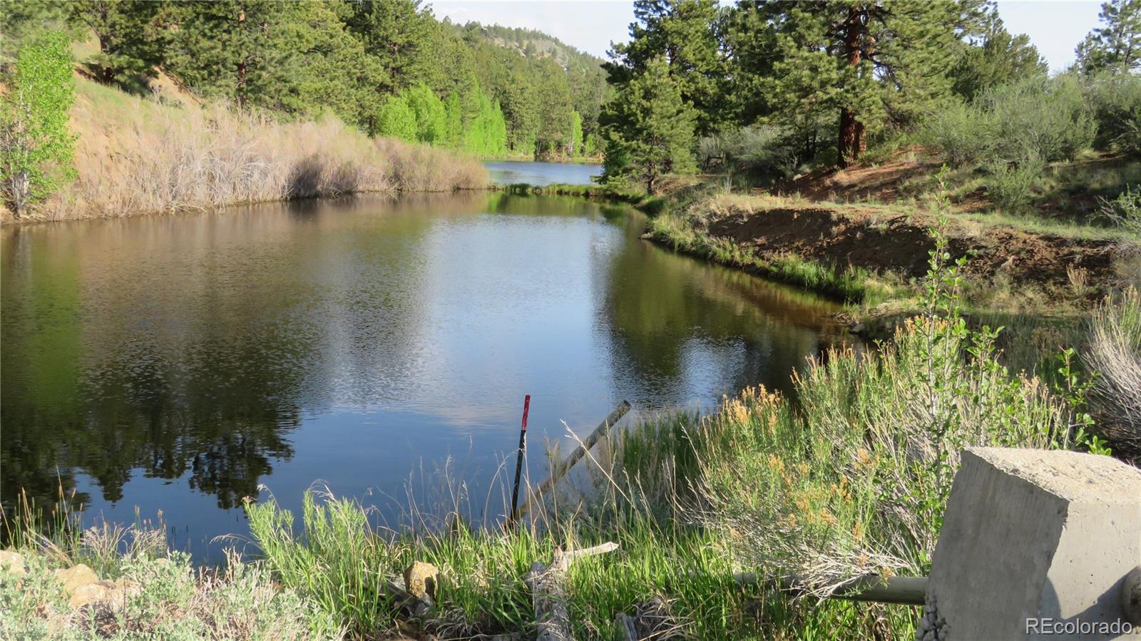 MLS Image #32 for 18340 s lake road,buena vista, Colorado