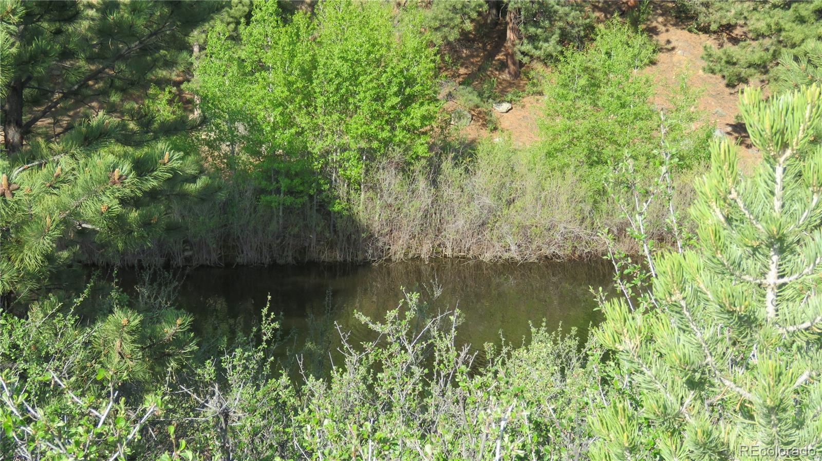 MLS Image #35 for 18340 s lake road,buena vista, Colorado