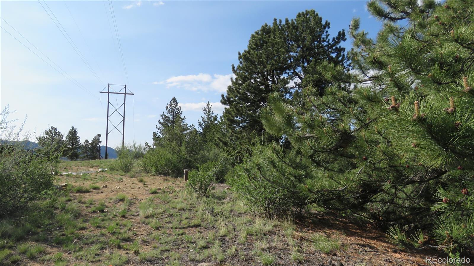 MLS Image #40 for 18340 s lake road,buena vista, Colorado