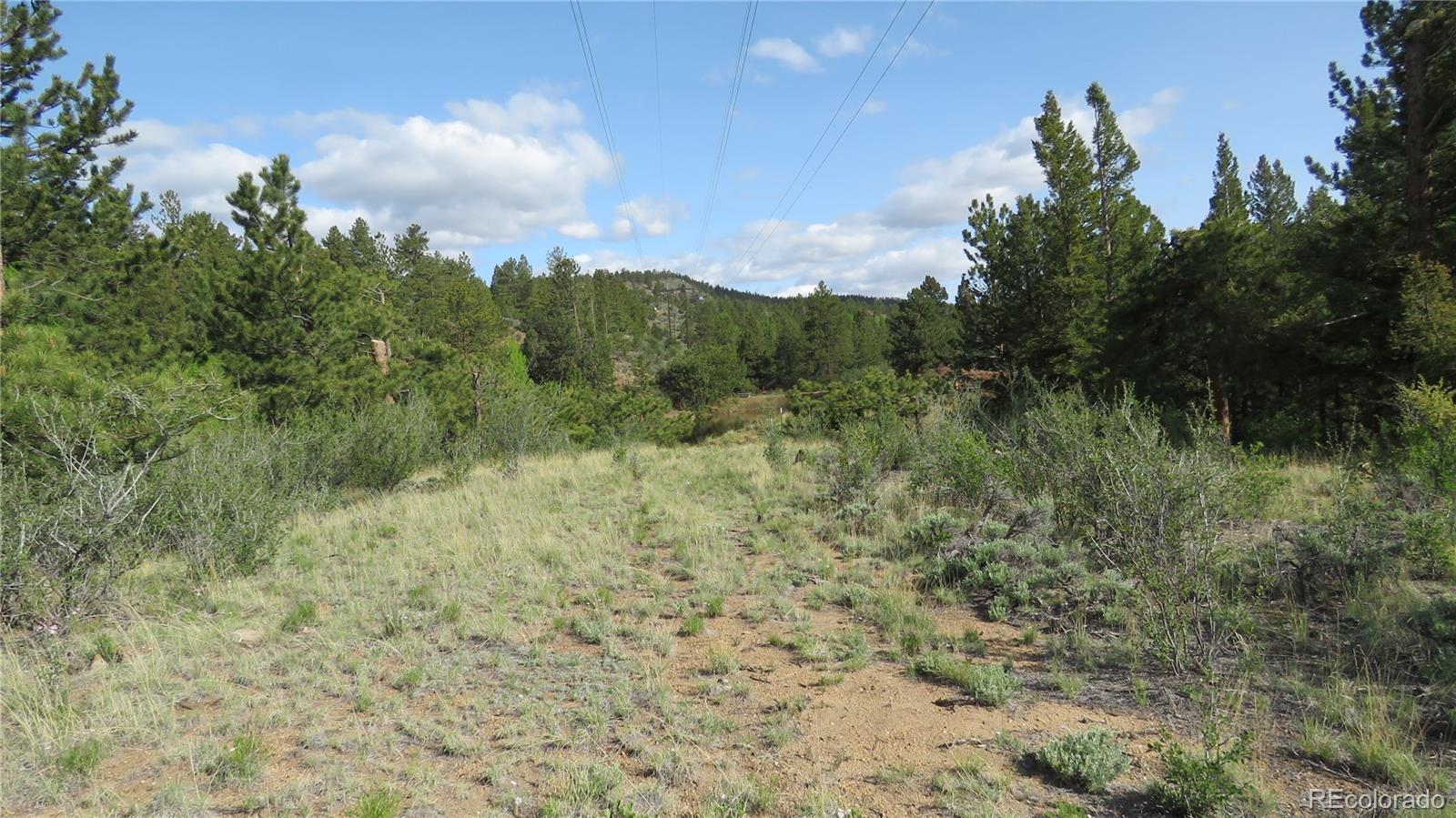 MLS Image #41 for 18340 s lake road,buena vista, Colorado