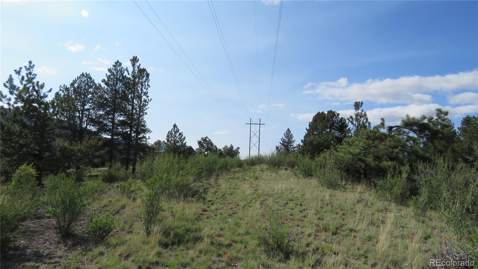 MLS Image #42 for 18340 s lake road,buena vista, Colorado