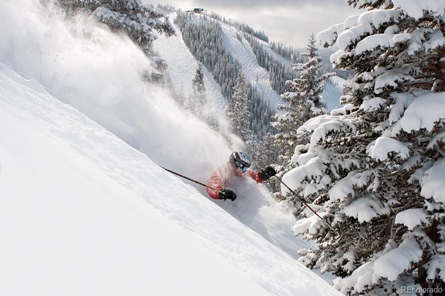 MLS Image #32 for 91  river run road,keystone, Colorado