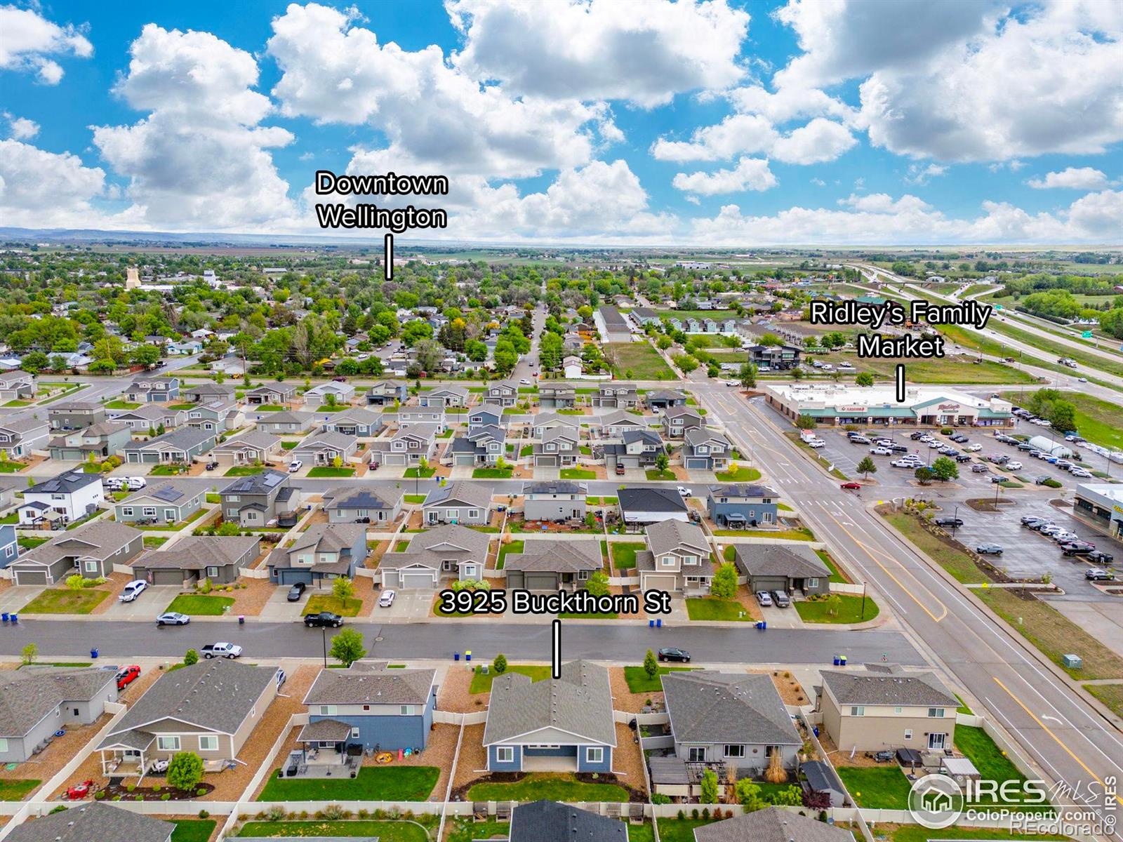 MLS Image #29 for 3925  buckthorn street,wellington, Colorado