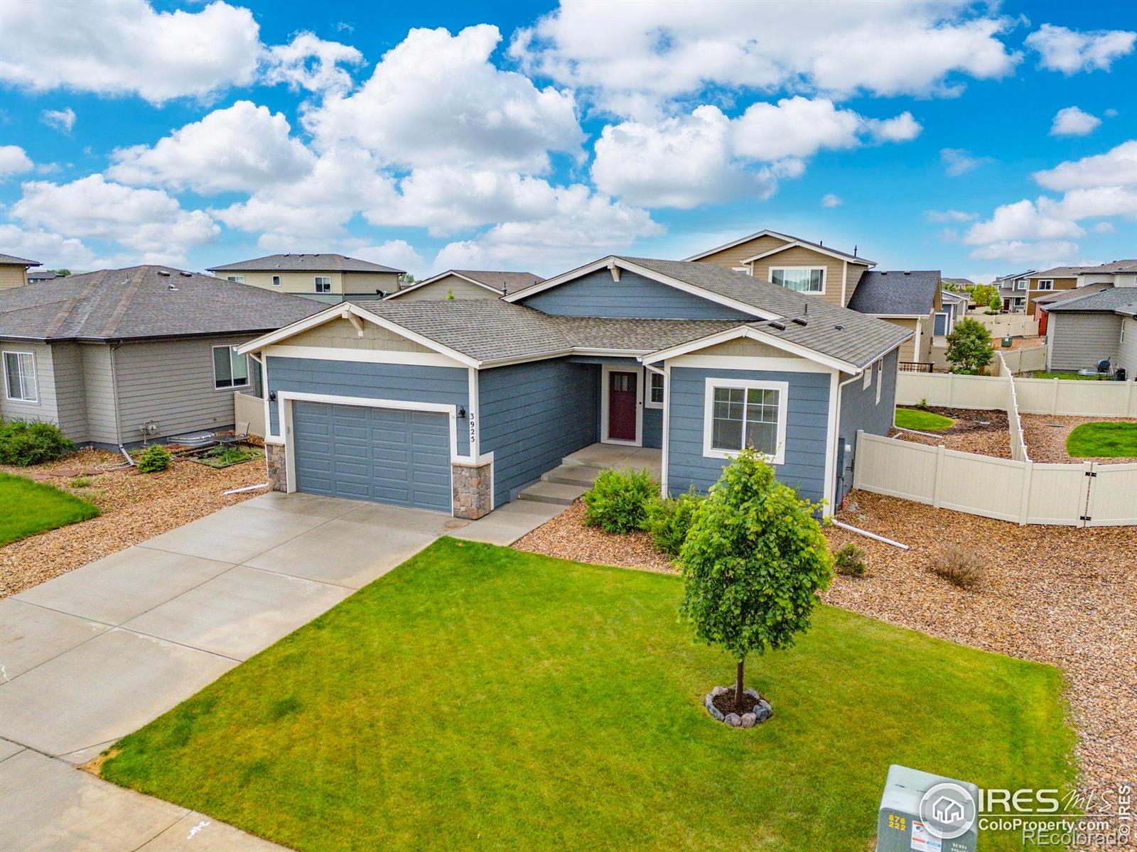 MLS Image #3 for 3925  buckthorn street,wellington, Colorado