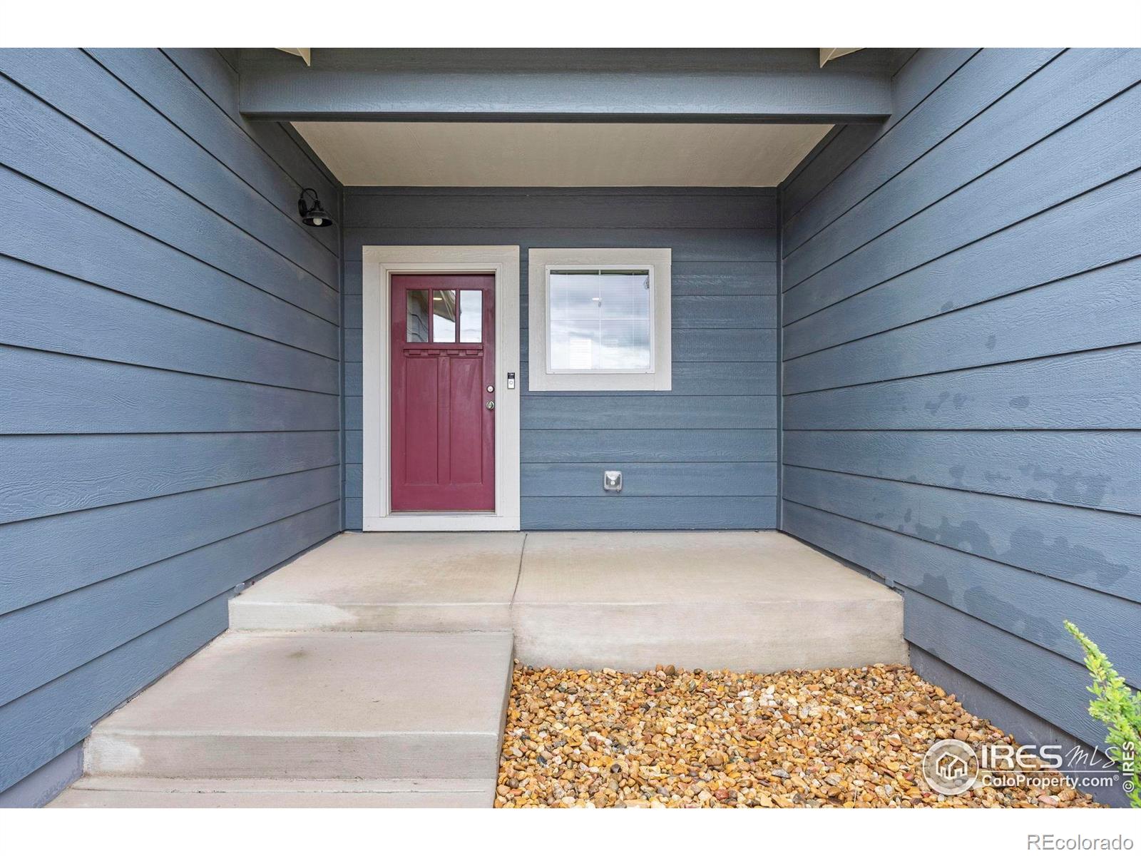 MLS Image #4 for 3925  buckthorn street,wellington, Colorado