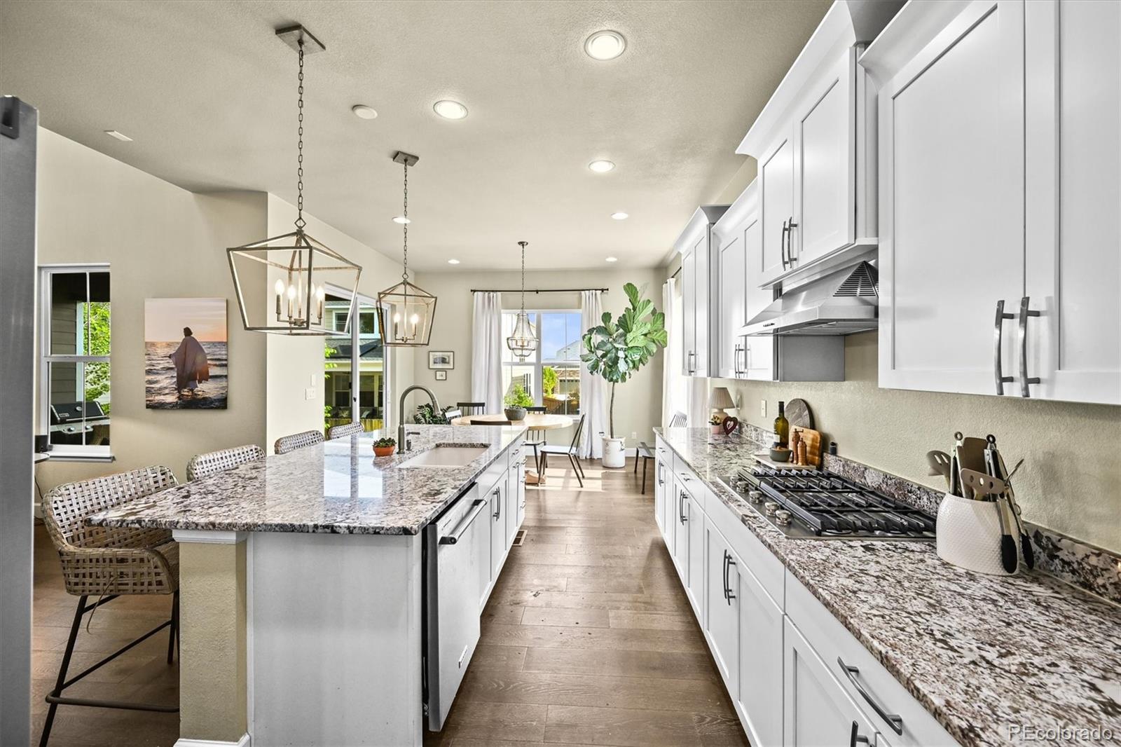 MLS Image #13 for 15033  delhi avenue,parker, Colorado