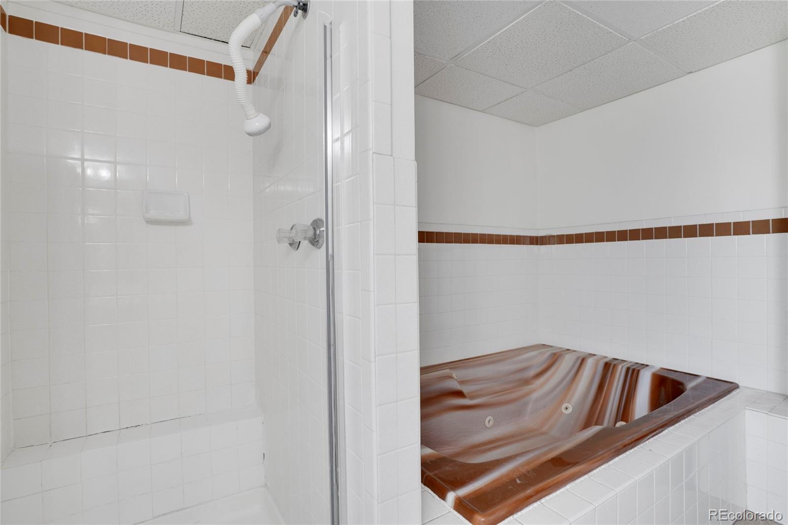 MLS Image #22 for 330  johnson drive,castle rock, Colorado