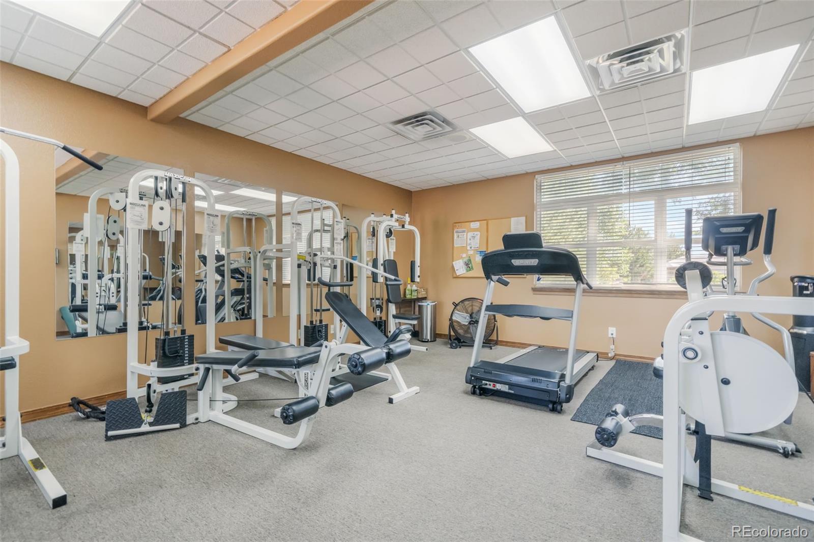 MLS Image #38 for 4163  gray fox heights,colorado springs, Colorado