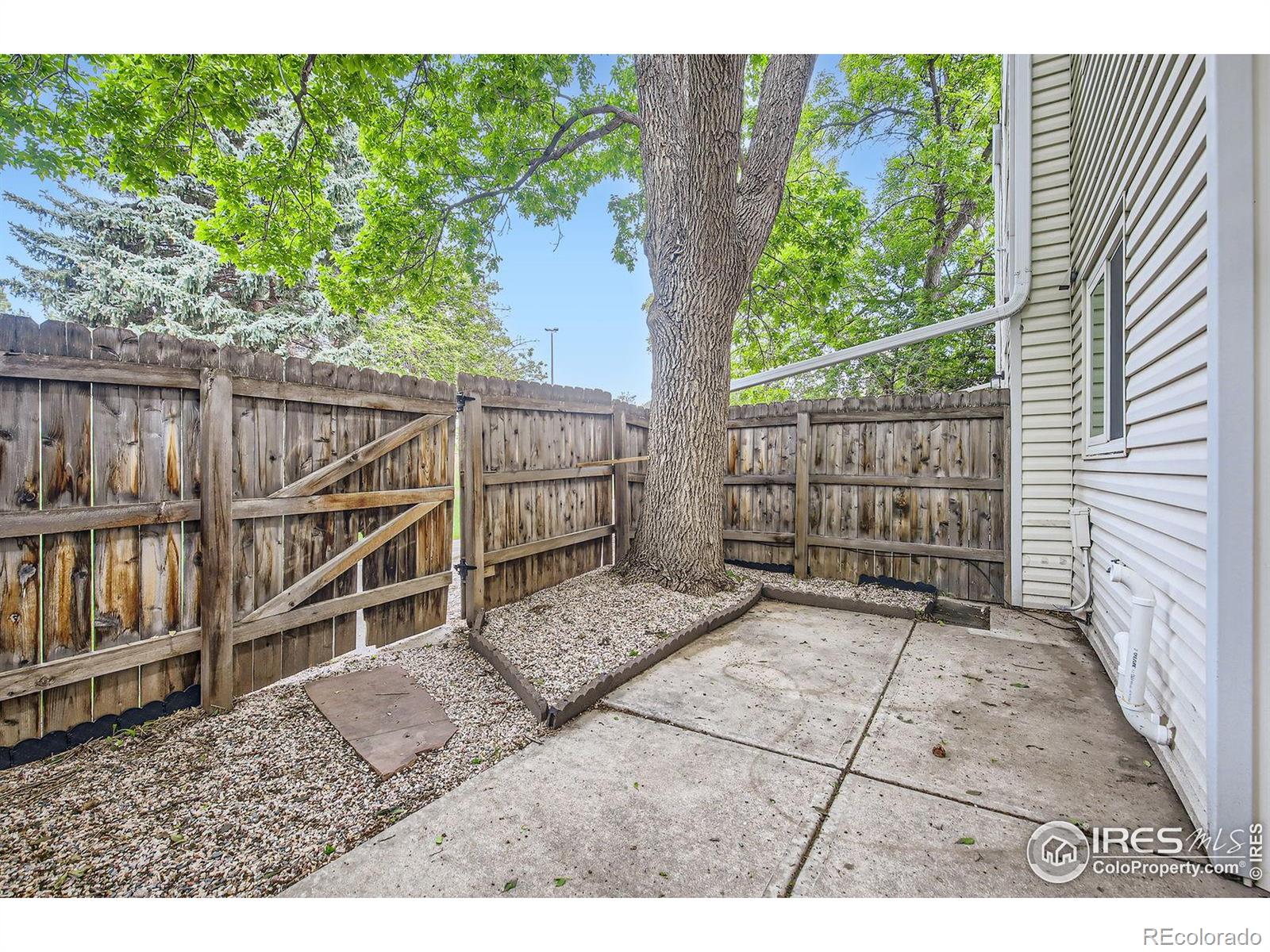 MLS Image #23 for 3024  ross drive,fort collins, Colorado