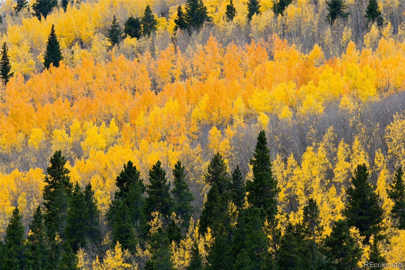 MLS Image #44 for 3021  cr-54 ,granby, Colorado