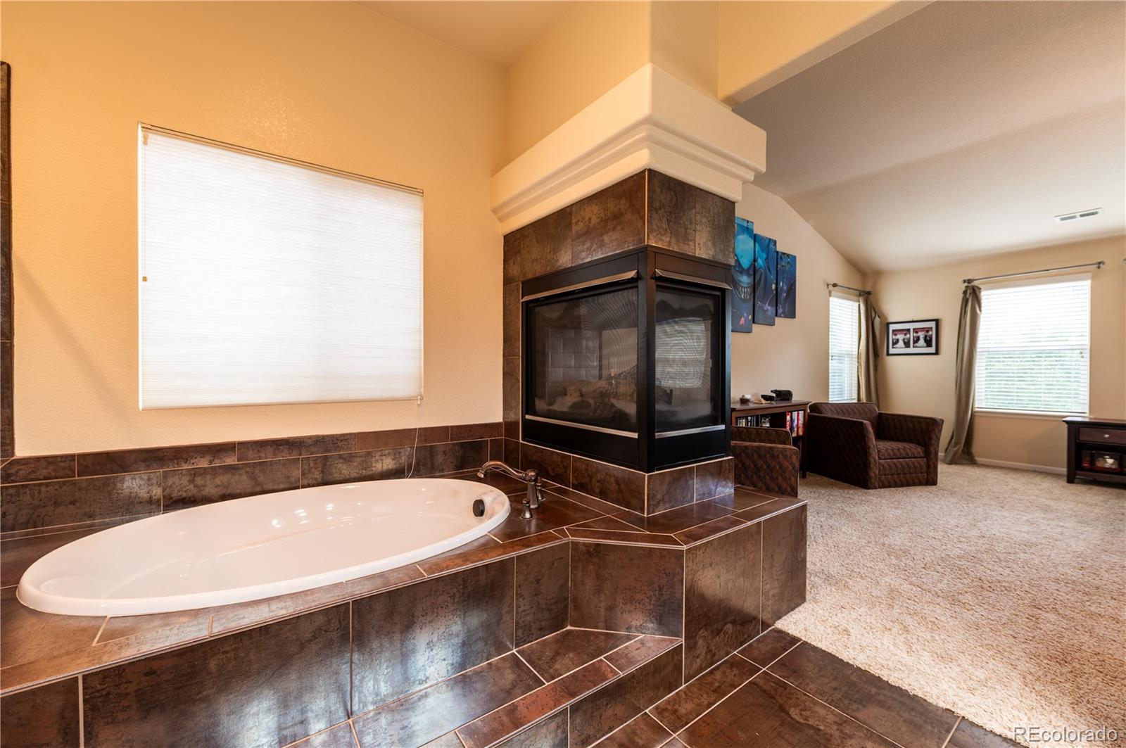 MLS Image #21 for 3902  eagle tail lane,castle rock, Colorado