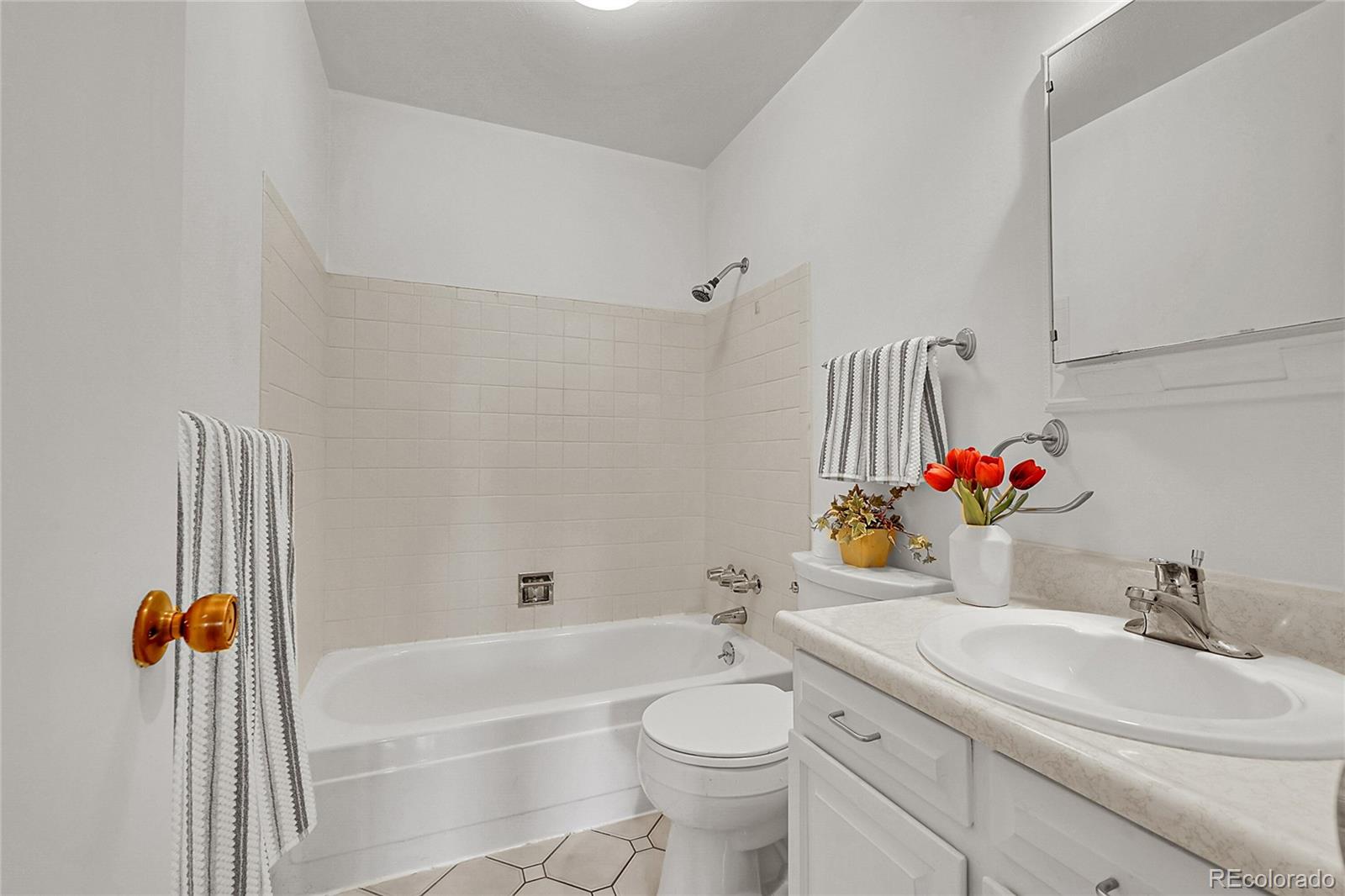 MLS Image #6 for 11267 w colorado place,denver, Colorado
