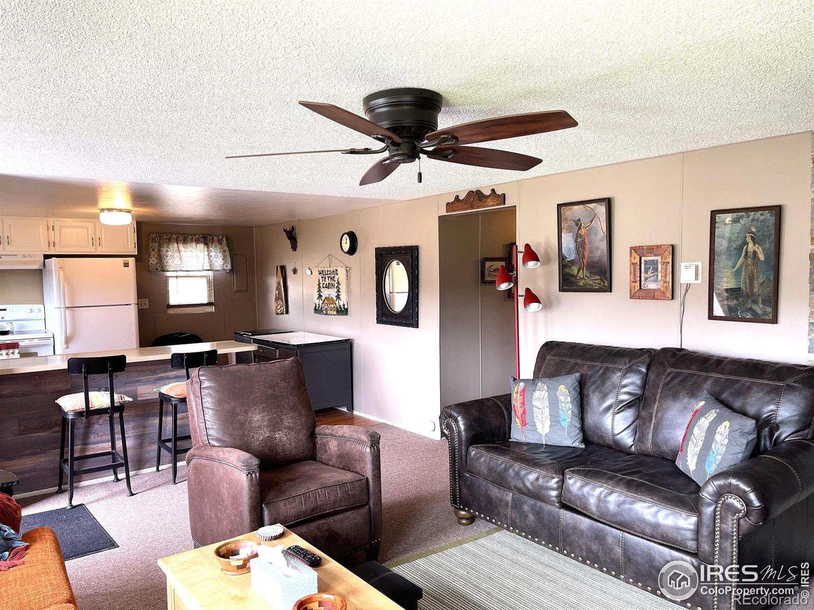 MLS Image #13 for 110  lone pine court,red feather lakes, Colorado