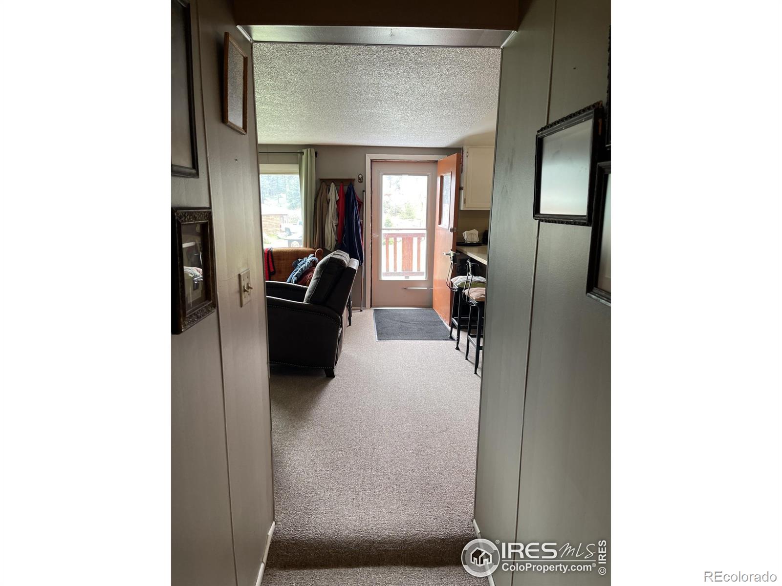MLS Image #25 for 110  lone pine court,red feather lakes, Colorado