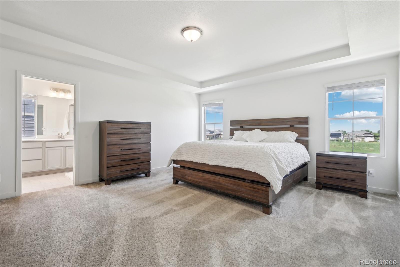 MLS Image #21 for 16595 e 110th avenue,commerce city, Colorado