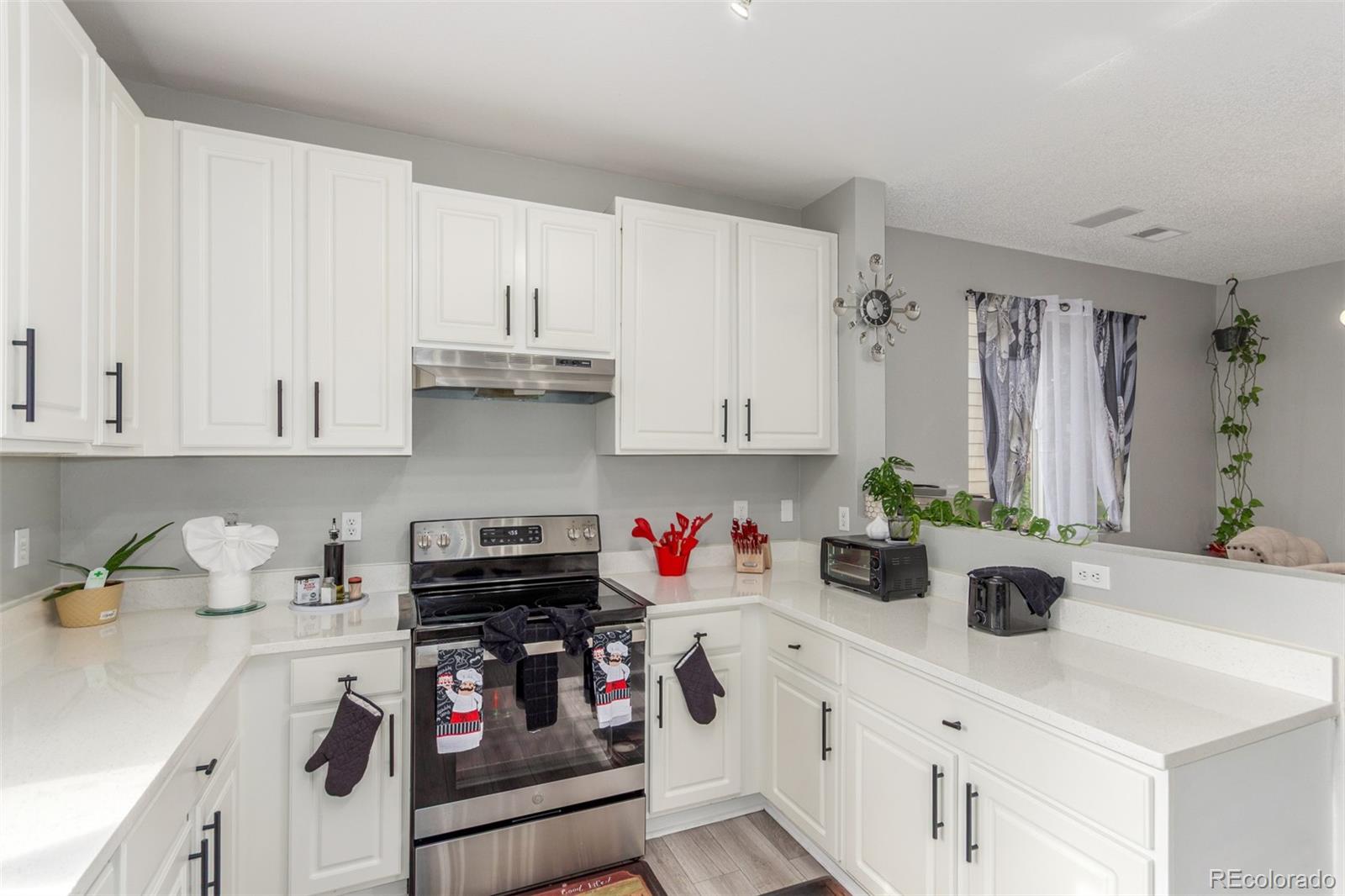 MLS Image #16 for 11716  fairplay street,commerce city, Colorado