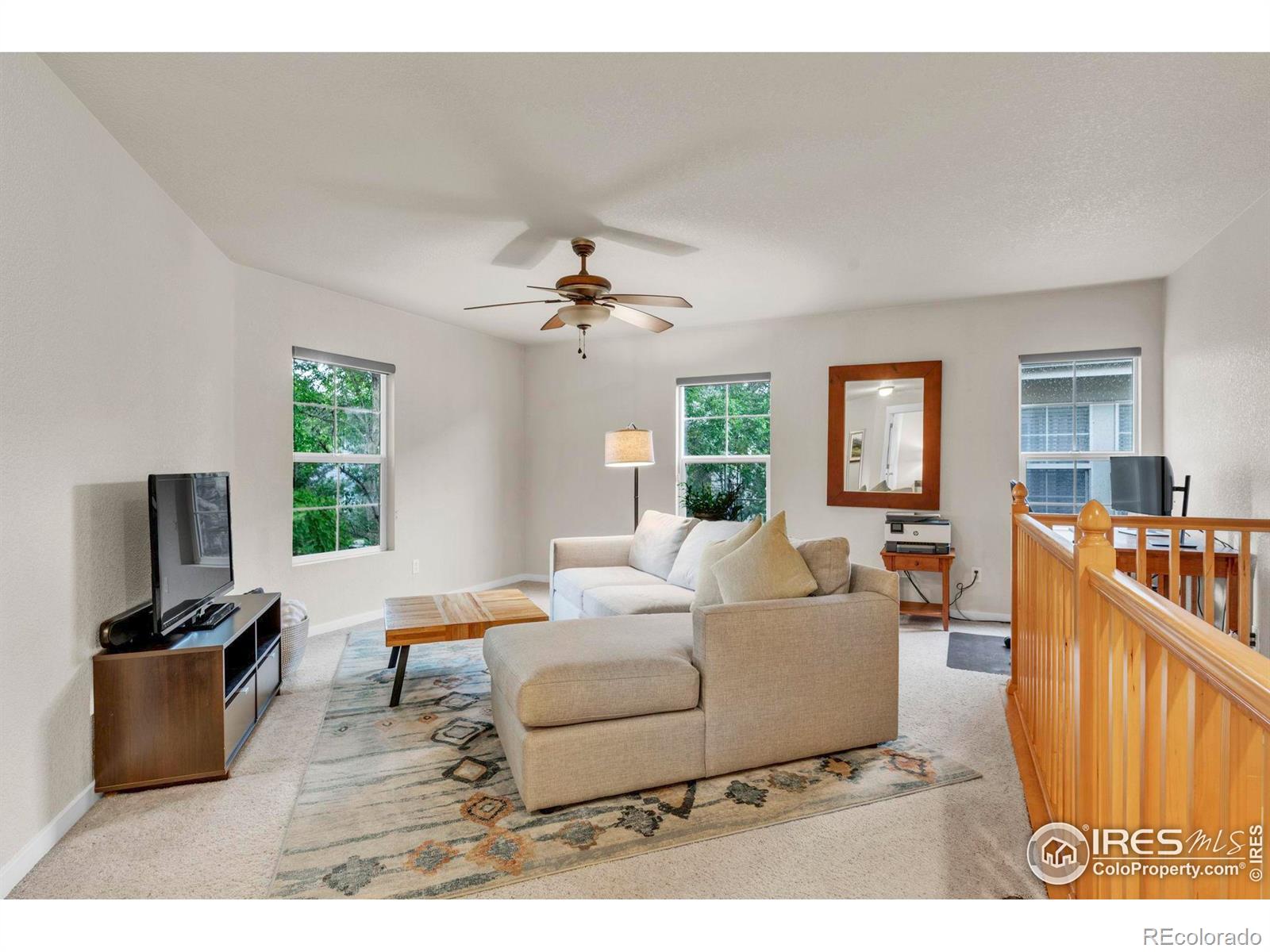 MLS Image #13 for 13255  red deer trail,broomfield, Colorado