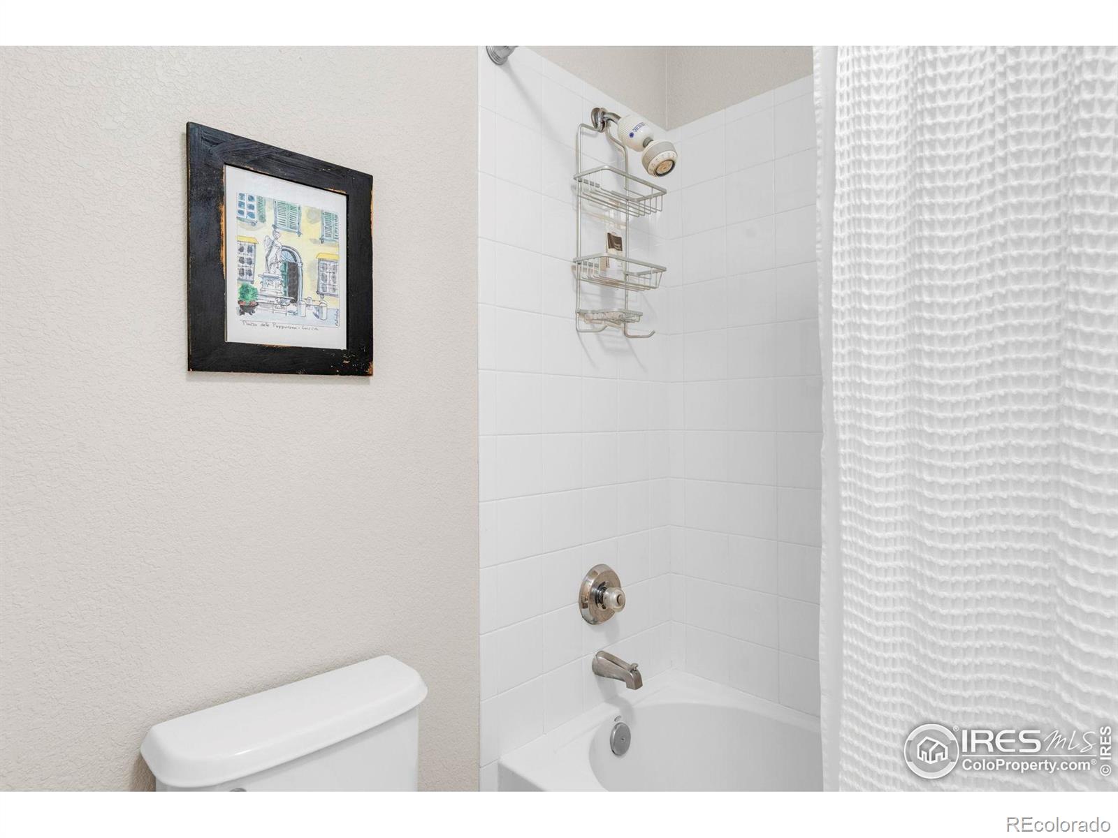 MLS Image #21 for 13255  red deer trail,broomfield, Colorado