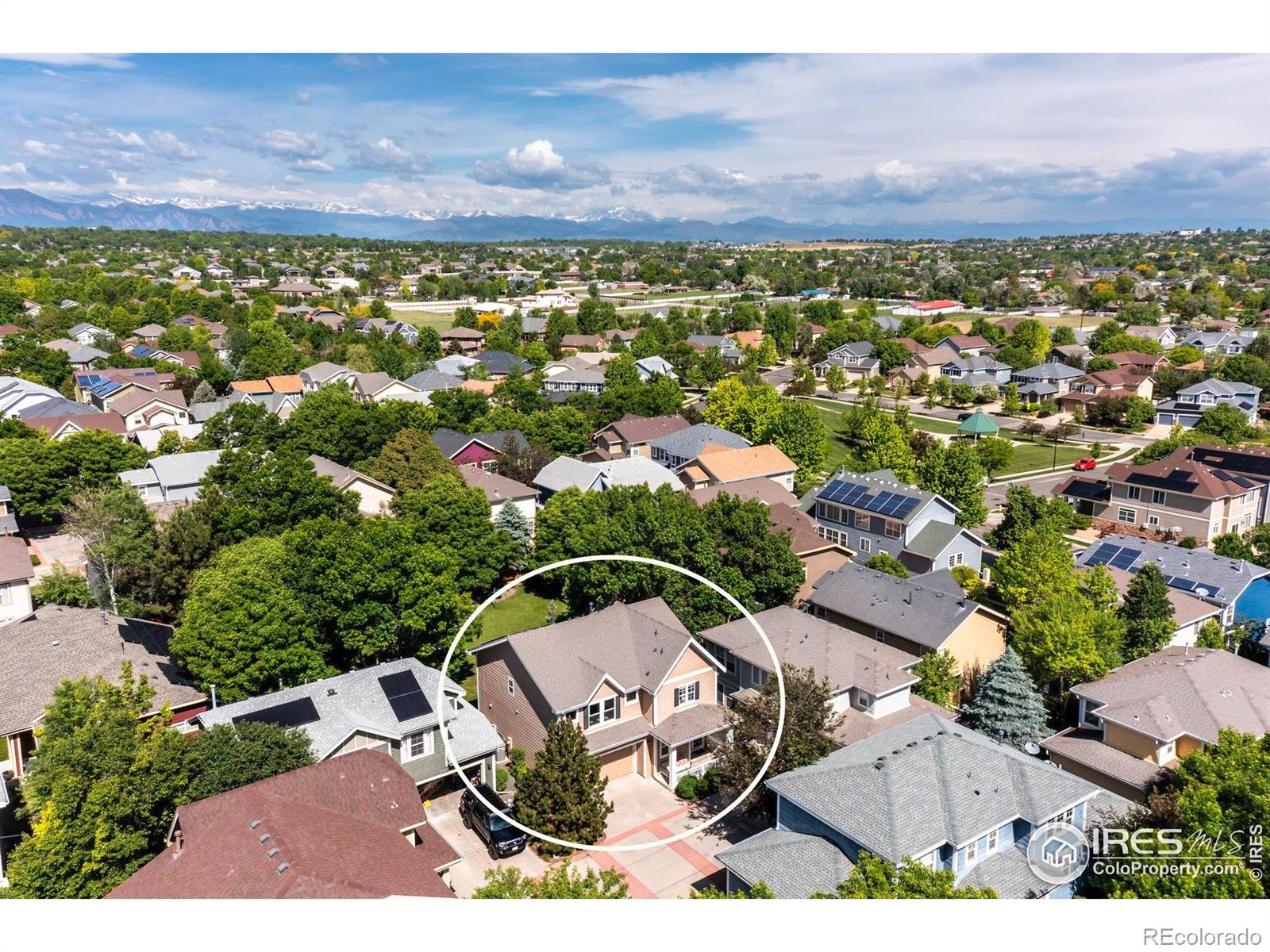 MLS Image #3 for 13255  red deer trail,broomfield, Colorado