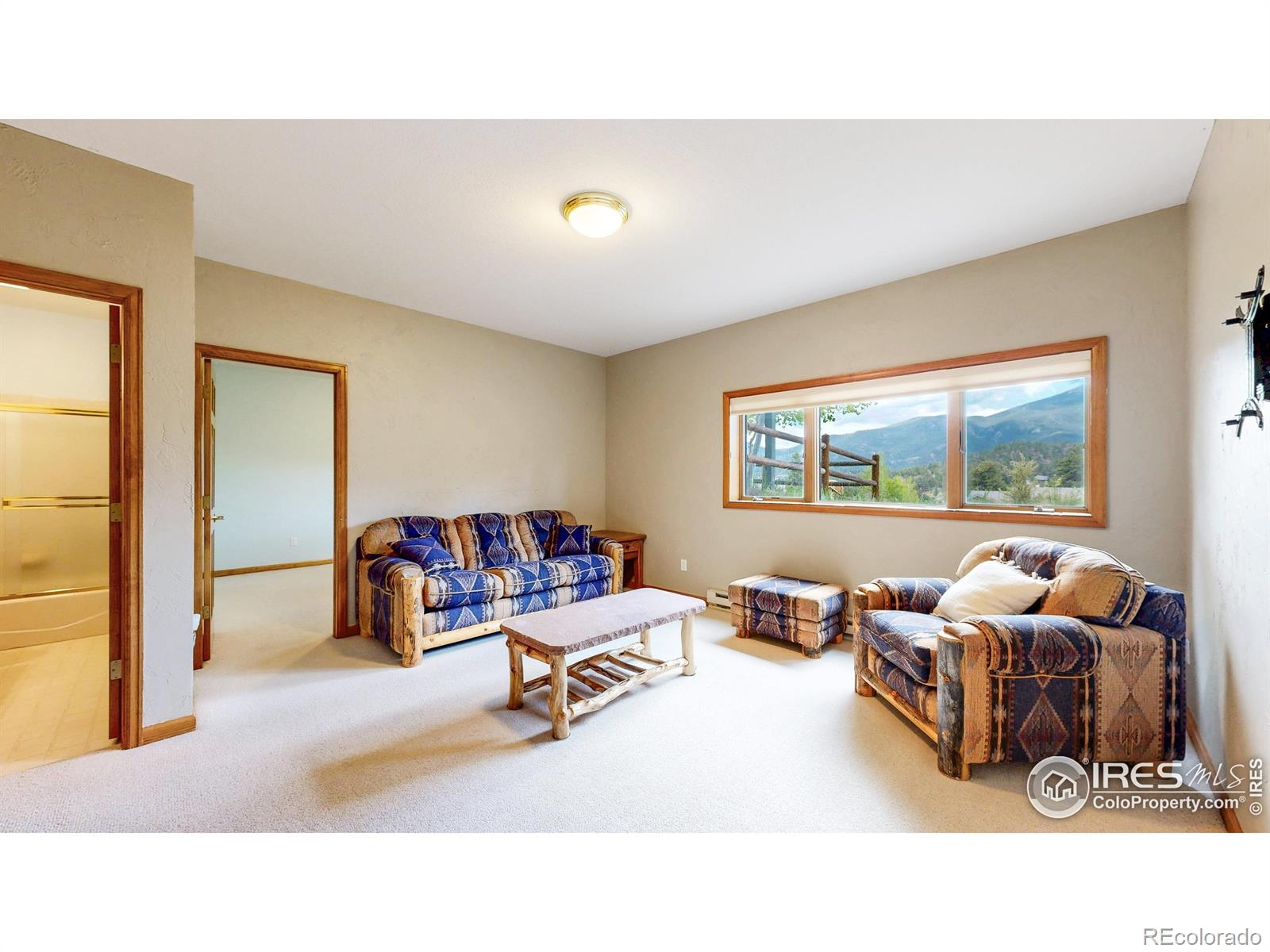 MLS Image #14 for 275  solomon drive,estes park, Colorado