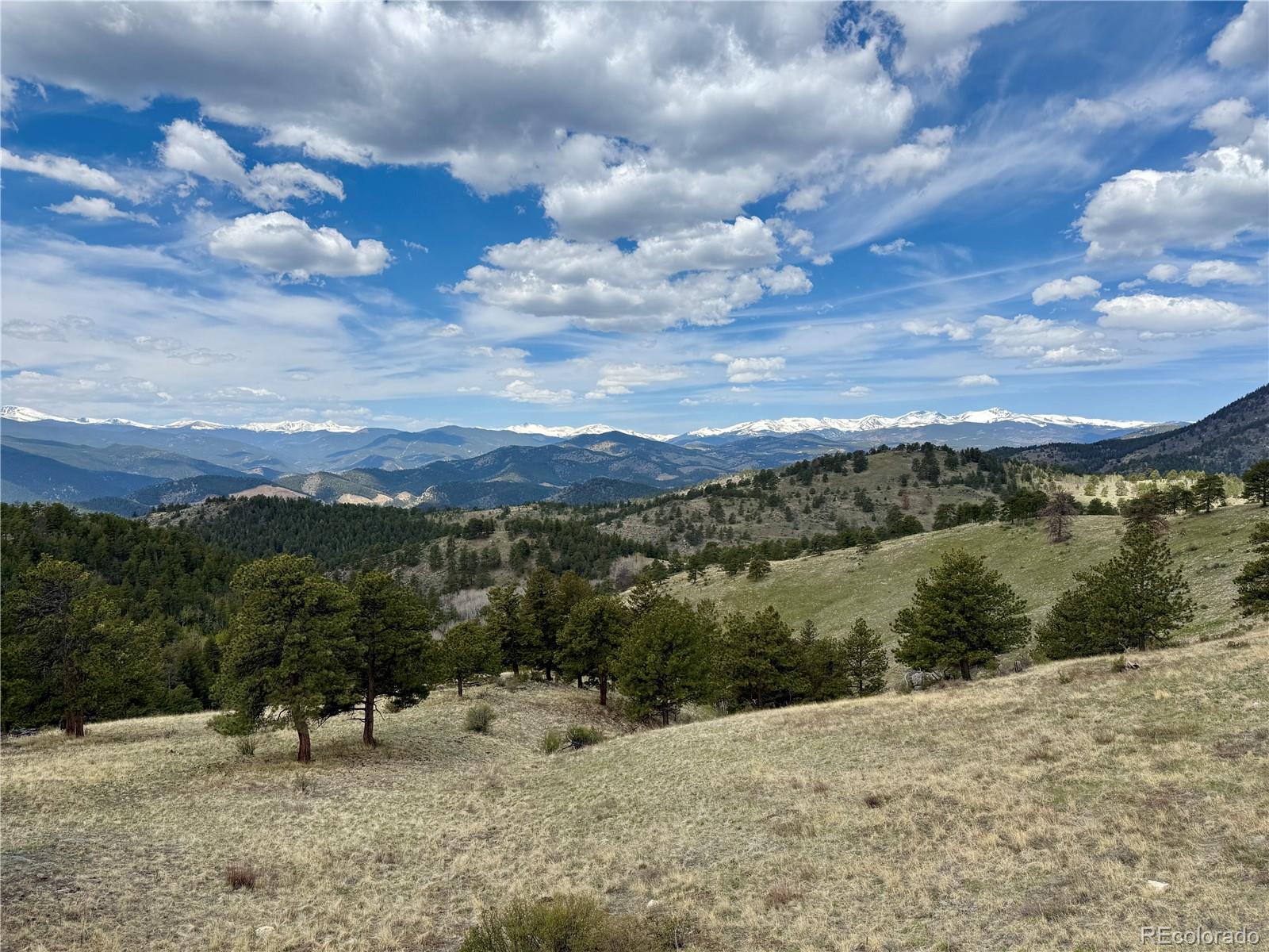 MLS Image #38 for 401  raptor point road,golden, Colorado