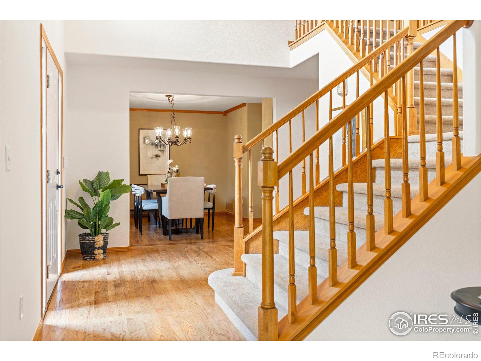 MLS Image #9 for 1401  clover creek drive,longmont, Colorado