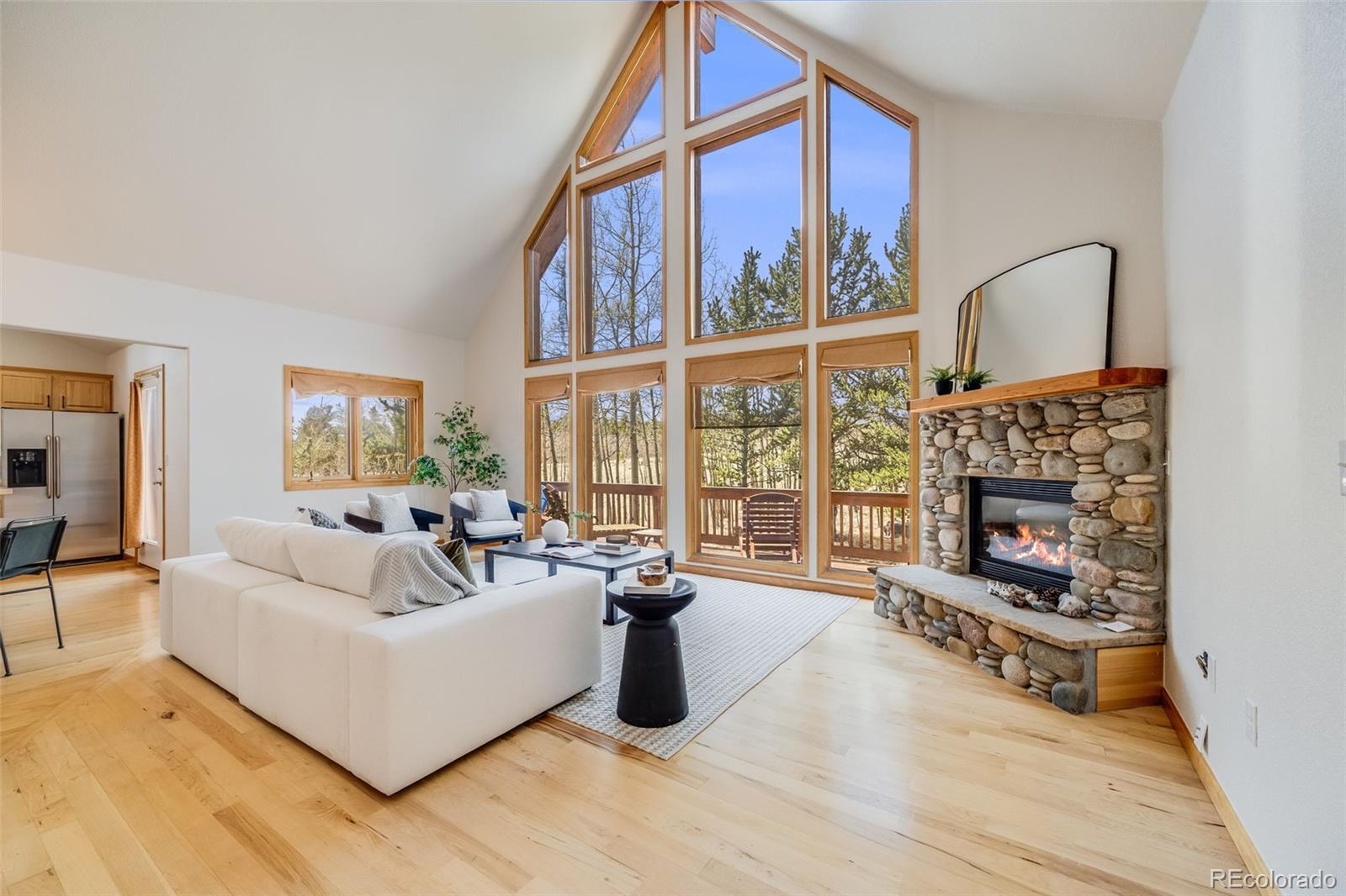 MLS Image #0 for 84  thurber court,fairplay, Colorado