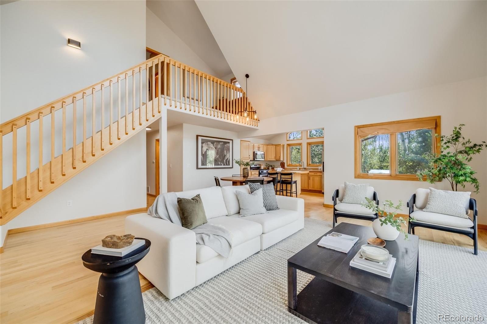 MLS Image #10 for 84  thurber court,fairplay, Colorado