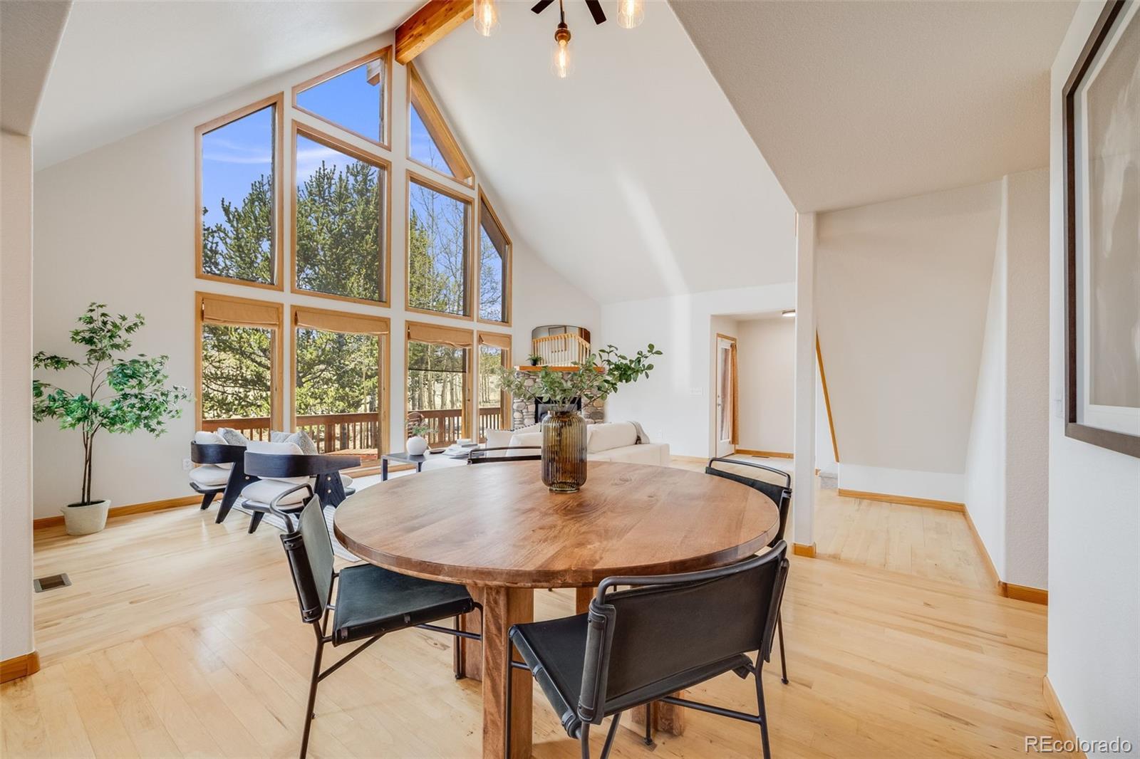 MLS Image #11 for 84  thurber court,fairplay, Colorado