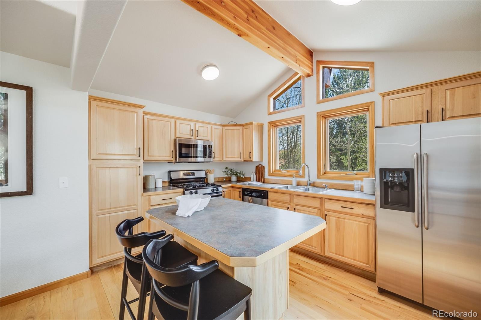 MLS Image #13 for 84  thurber court,fairplay, Colorado