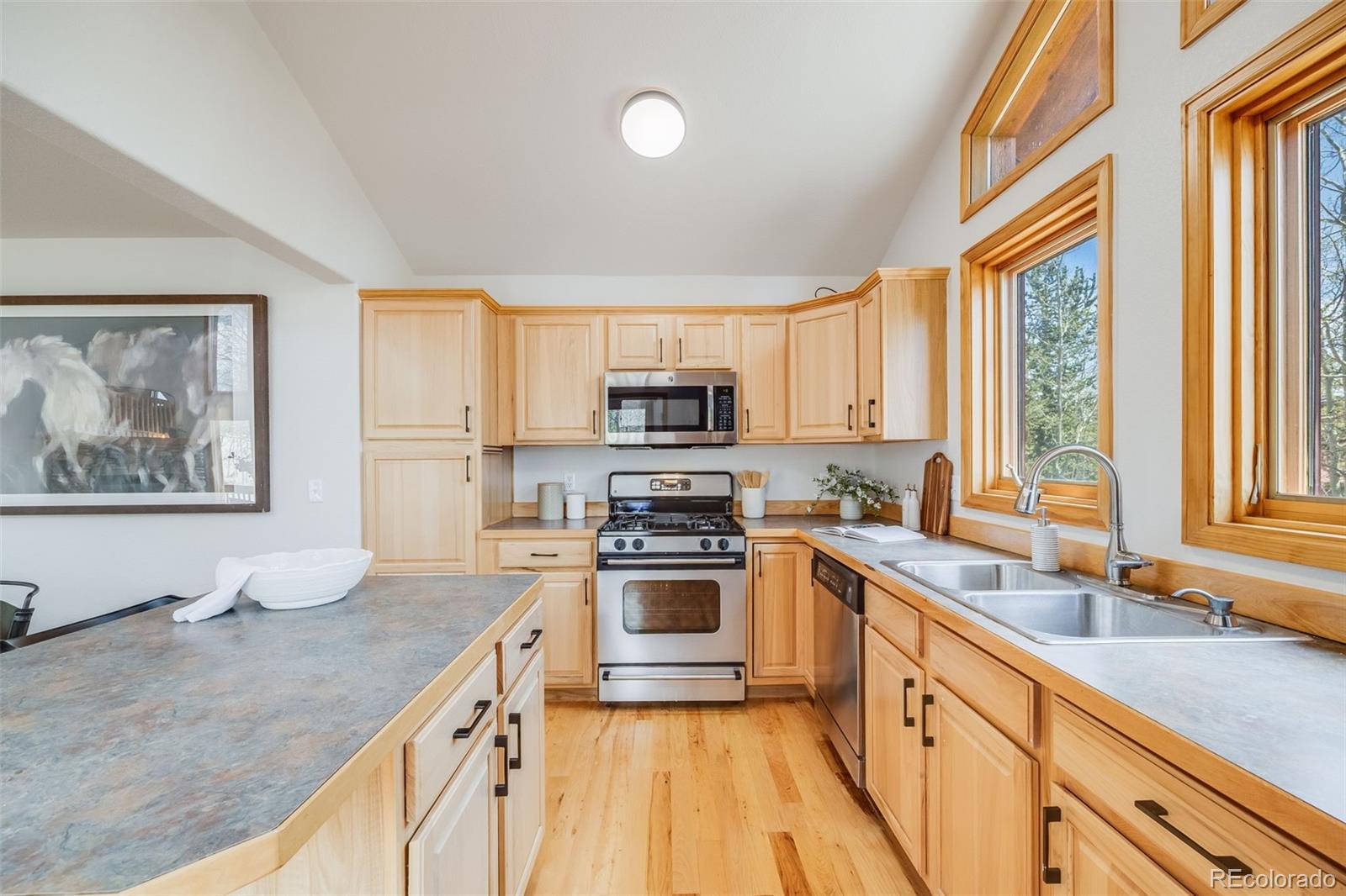 MLS Image #14 for 84  thurber court,fairplay, Colorado