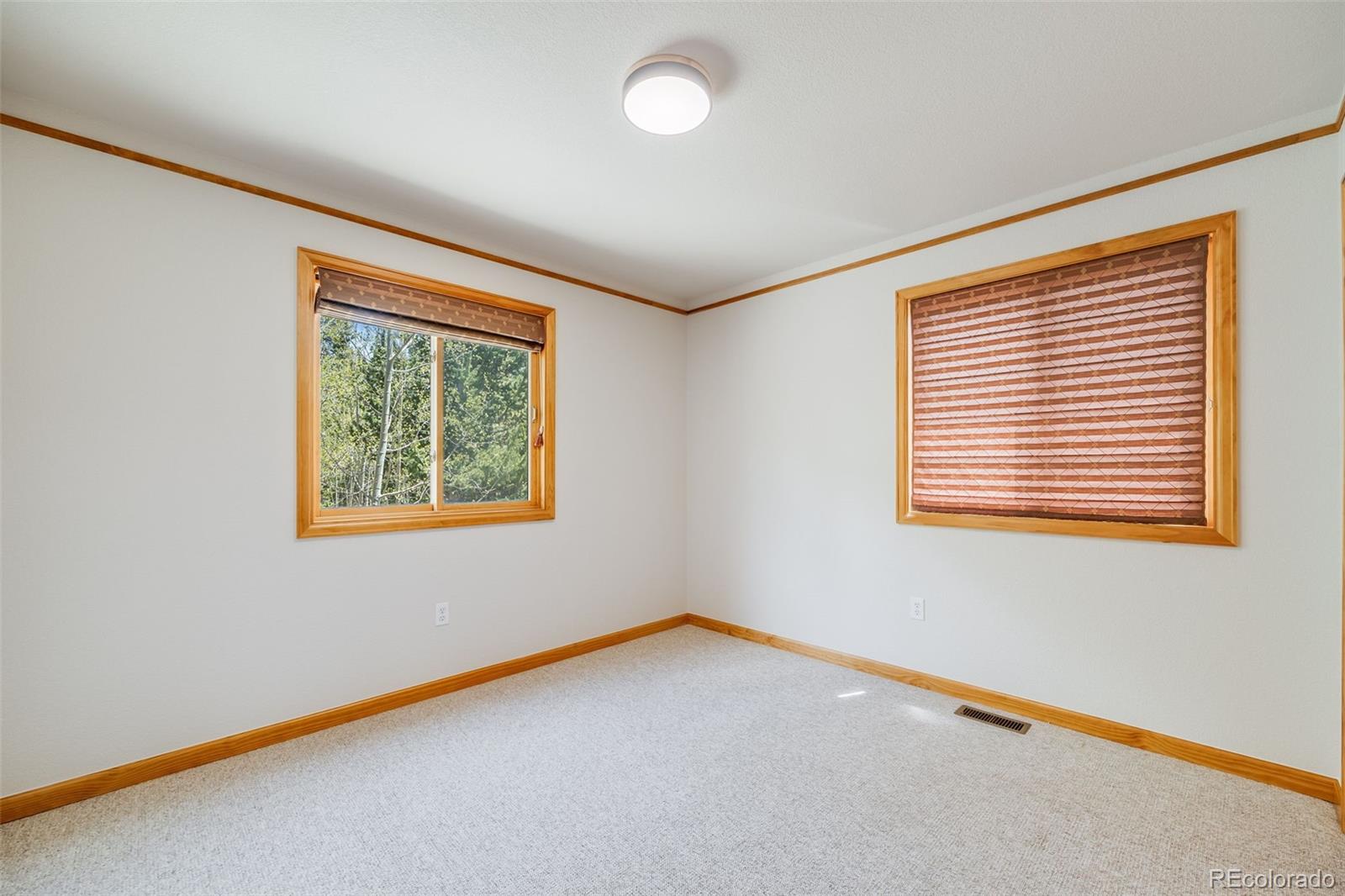 MLS Image #15 for 84  thurber court,fairplay, Colorado