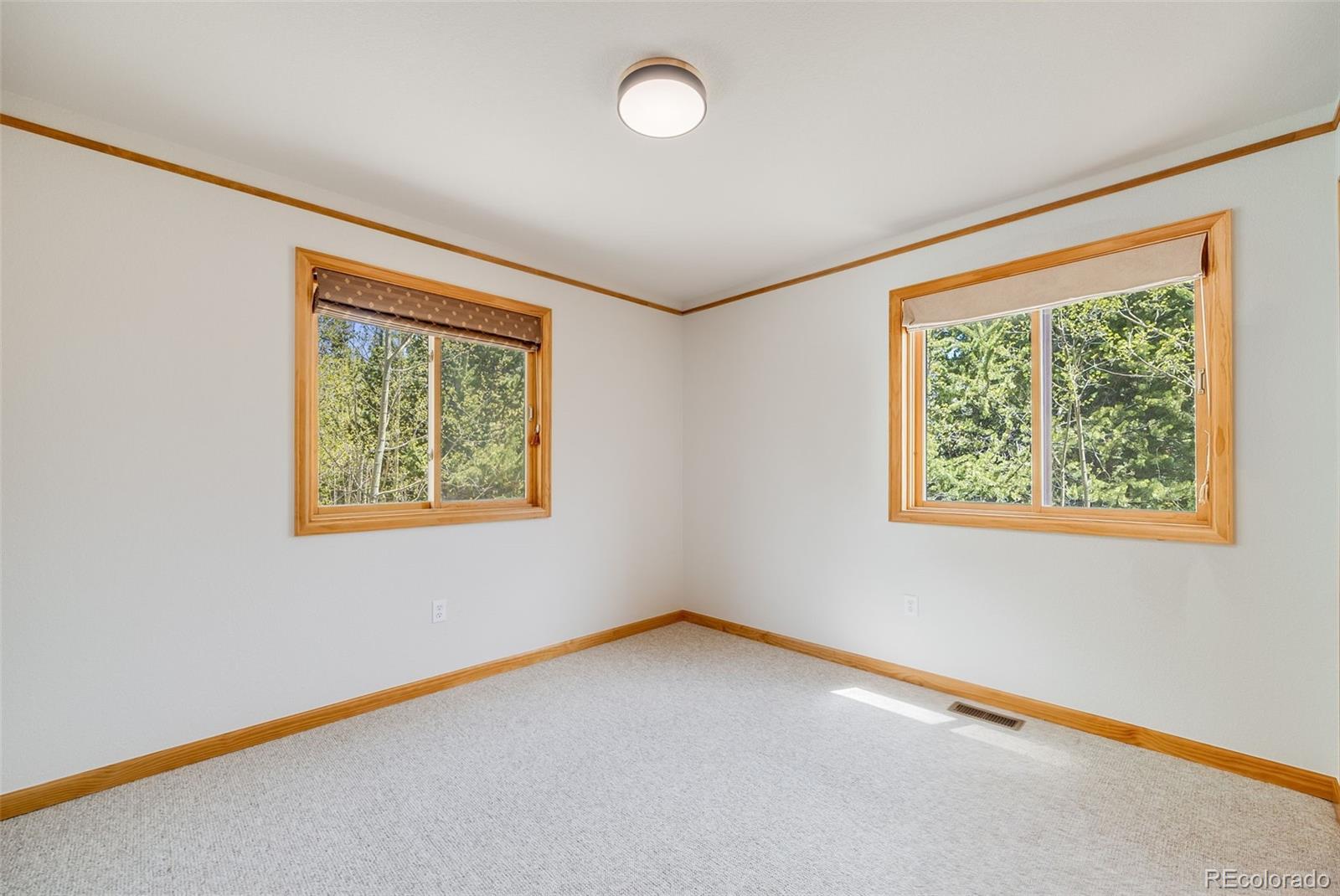 MLS Image #16 for 84  thurber court,fairplay, Colorado