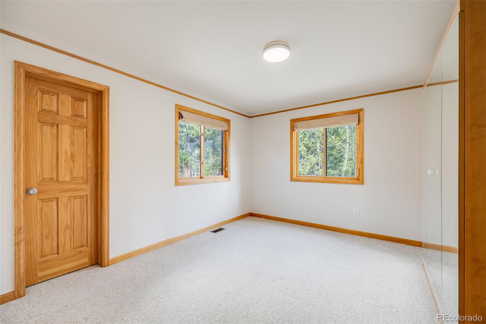 MLS Image #18 for 84  thurber court,fairplay, Colorado