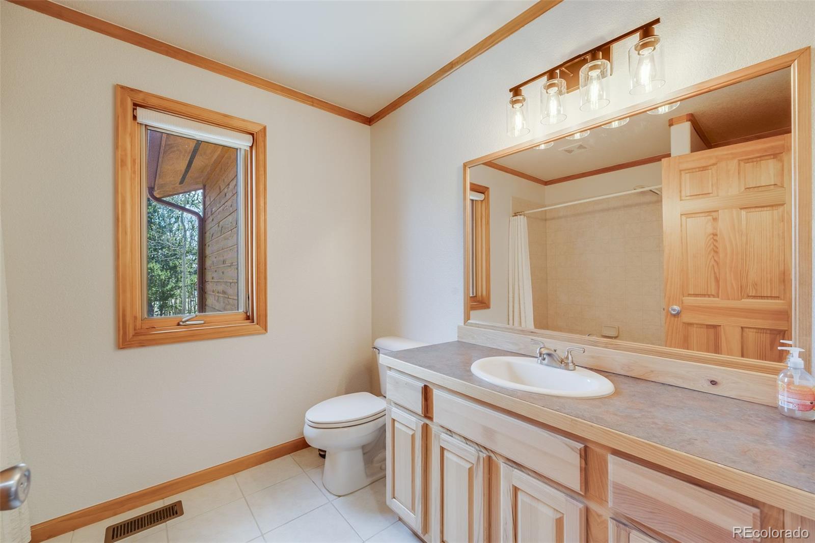 MLS Image #19 for 84  thurber court,fairplay, Colorado