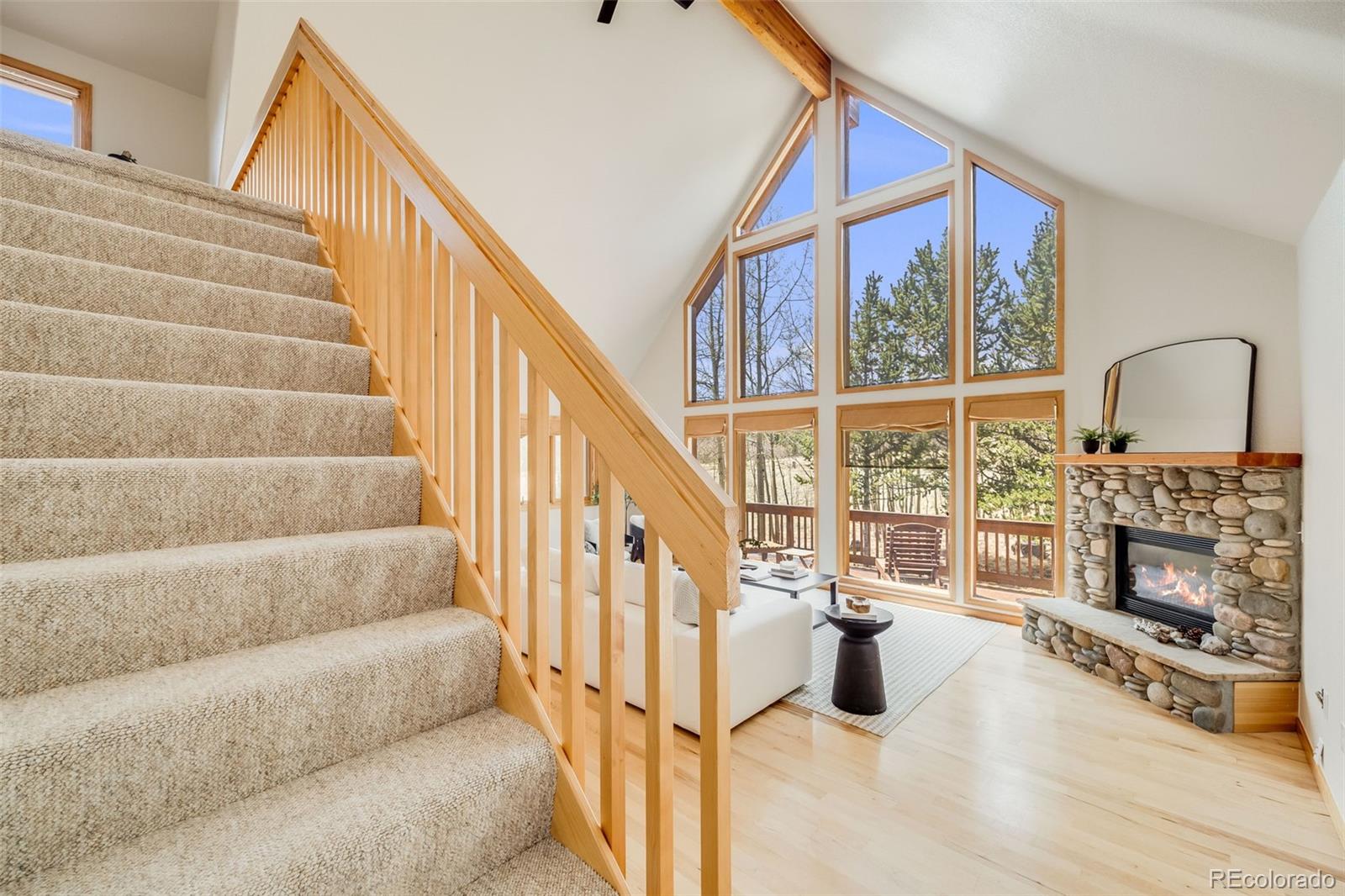 MLS Image #20 for 84  thurber court,fairplay, Colorado