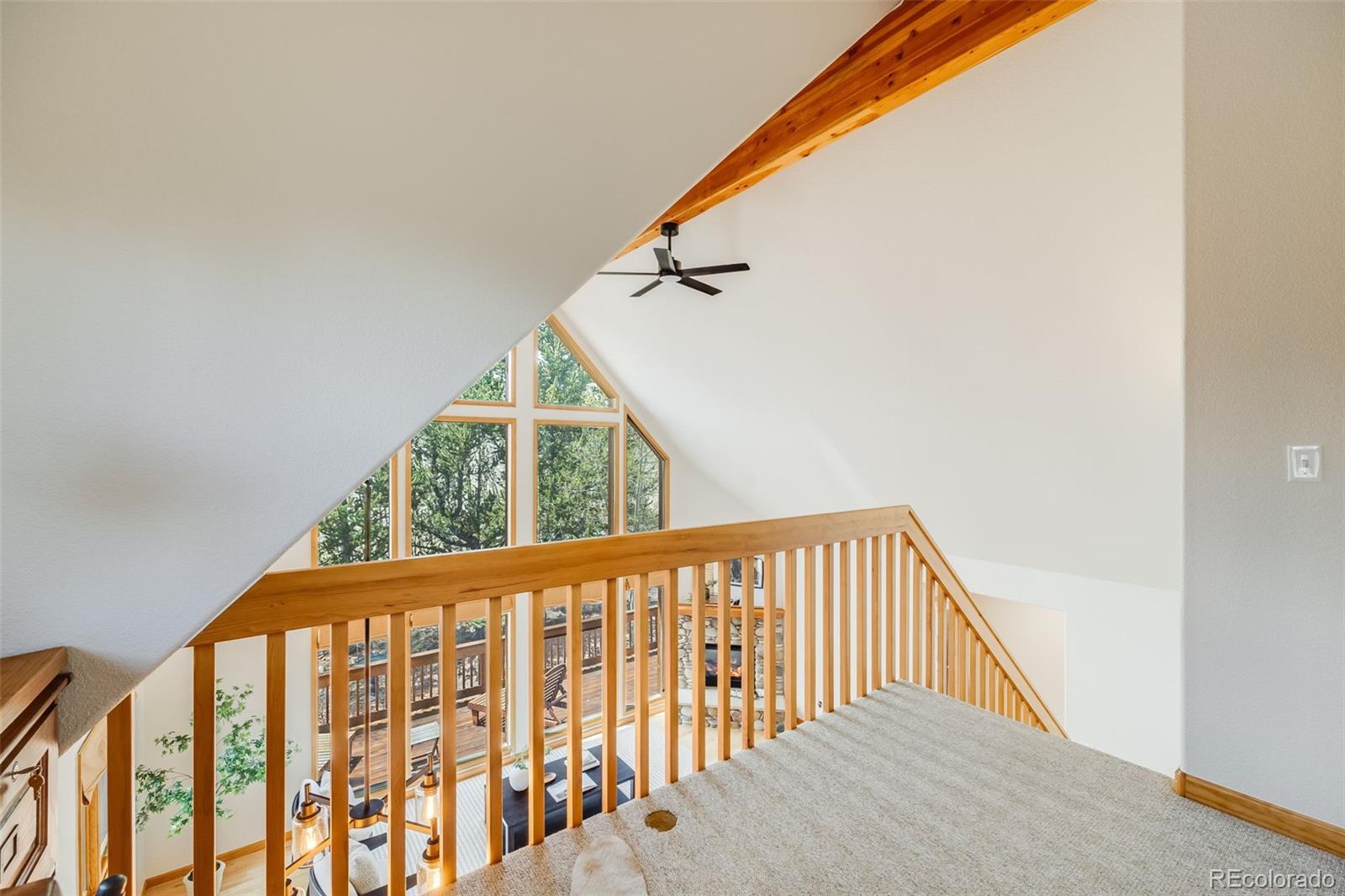 MLS Image #21 for 84  thurber court,fairplay, Colorado