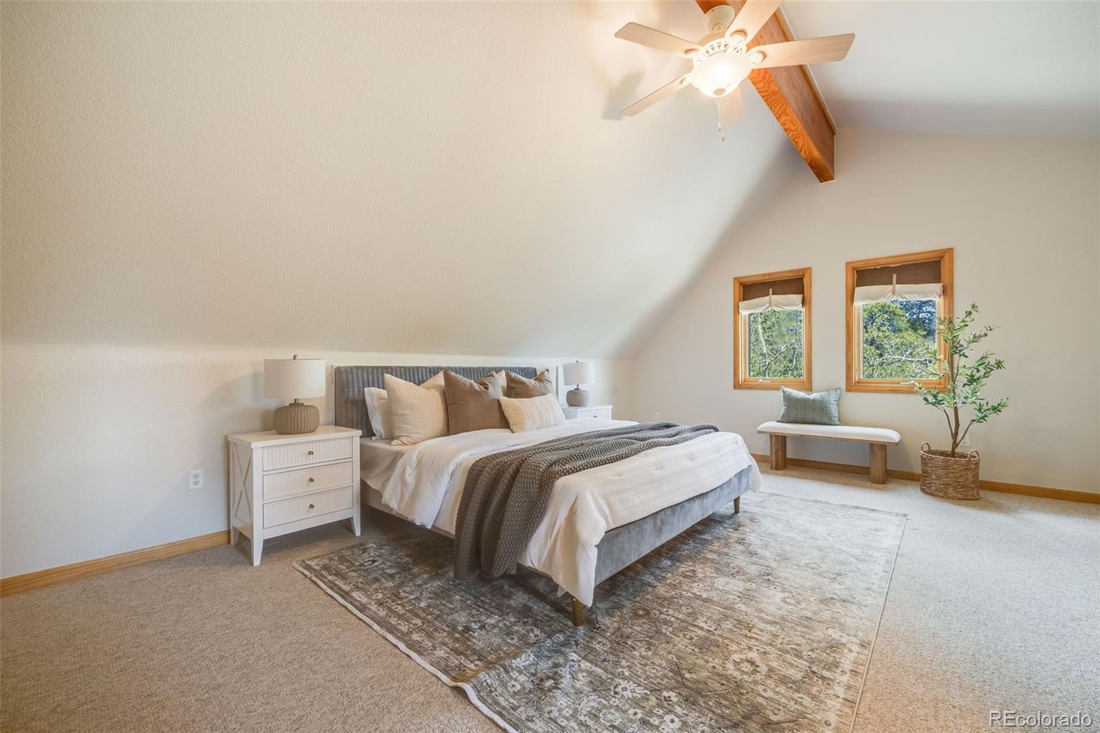 MLS Image #23 for 84  thurber court,fairplay, Colorado