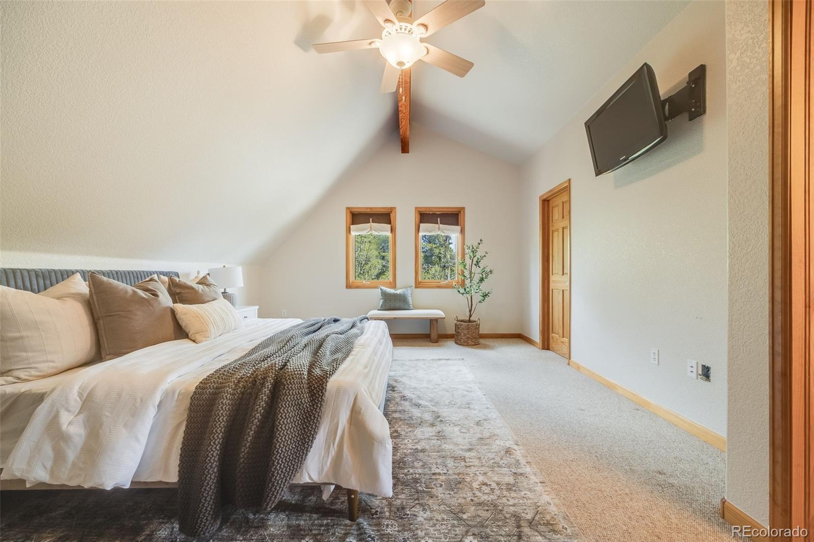 MLS Image #24 for 84  thurber court,fairplay, Colorado