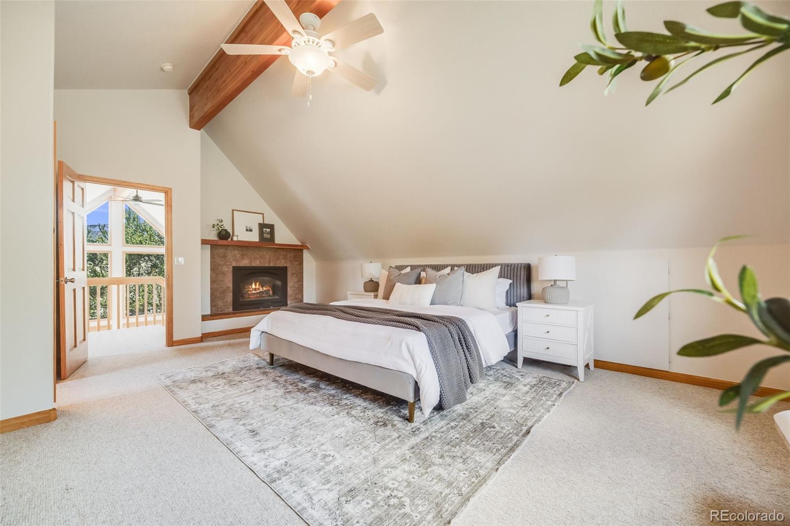 MLS Image #26 for 84  thurber court,fairplay, Colorado