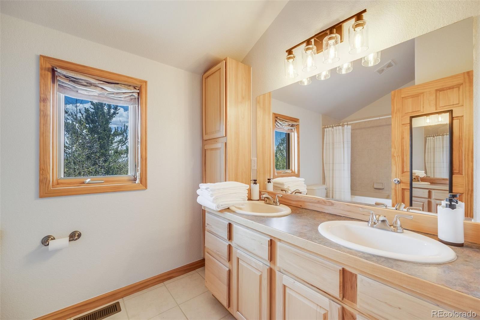 MLS Image #27 for 84  thurber court,fairplay, Colorado