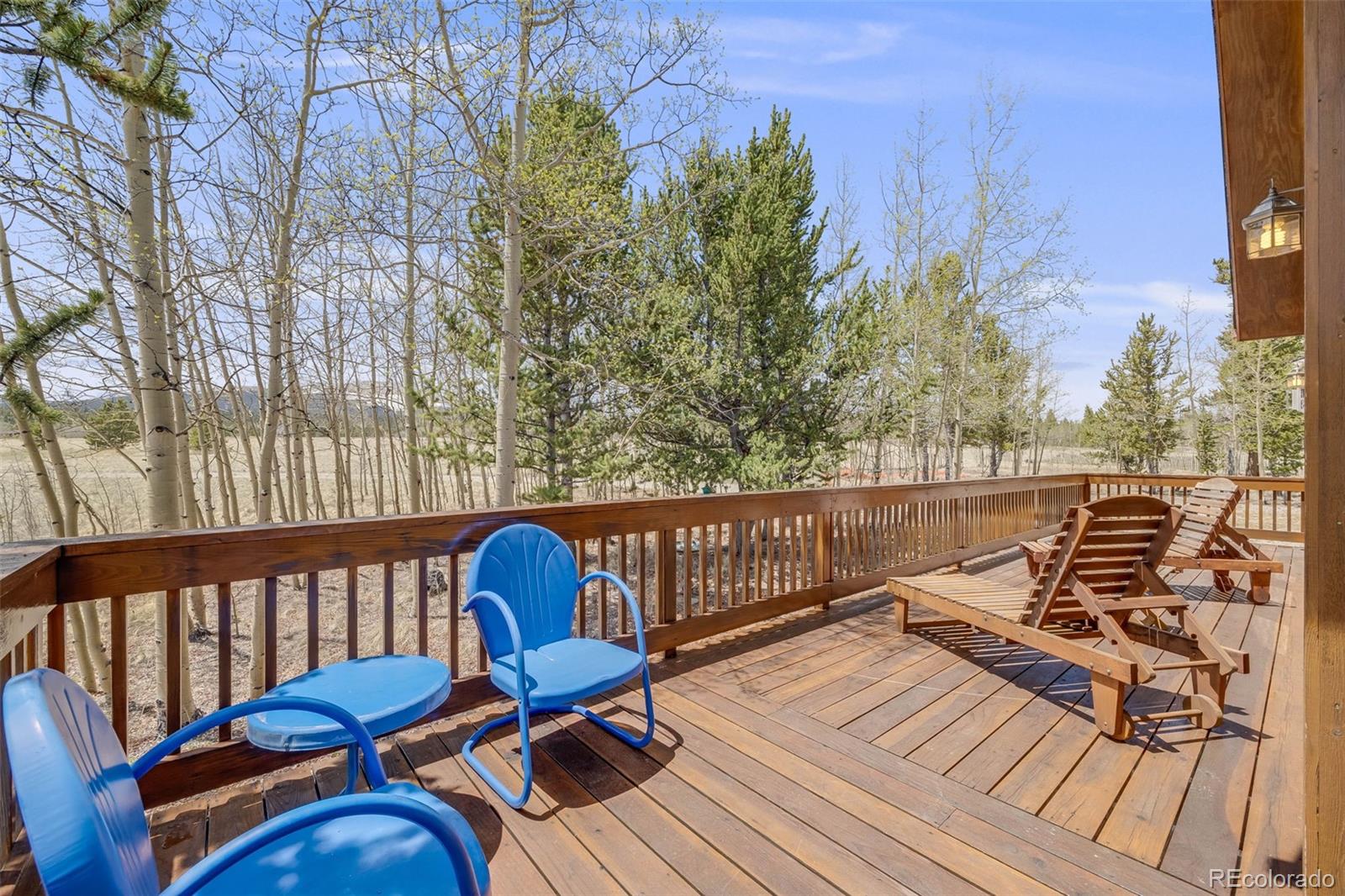 MLS Image #30 for 84  thurber court,fairplay, Colorado