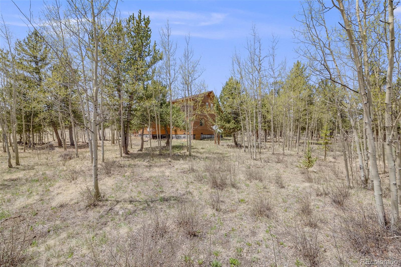 MLS Image #33 for 84  thurber court,fairplay, Colorado