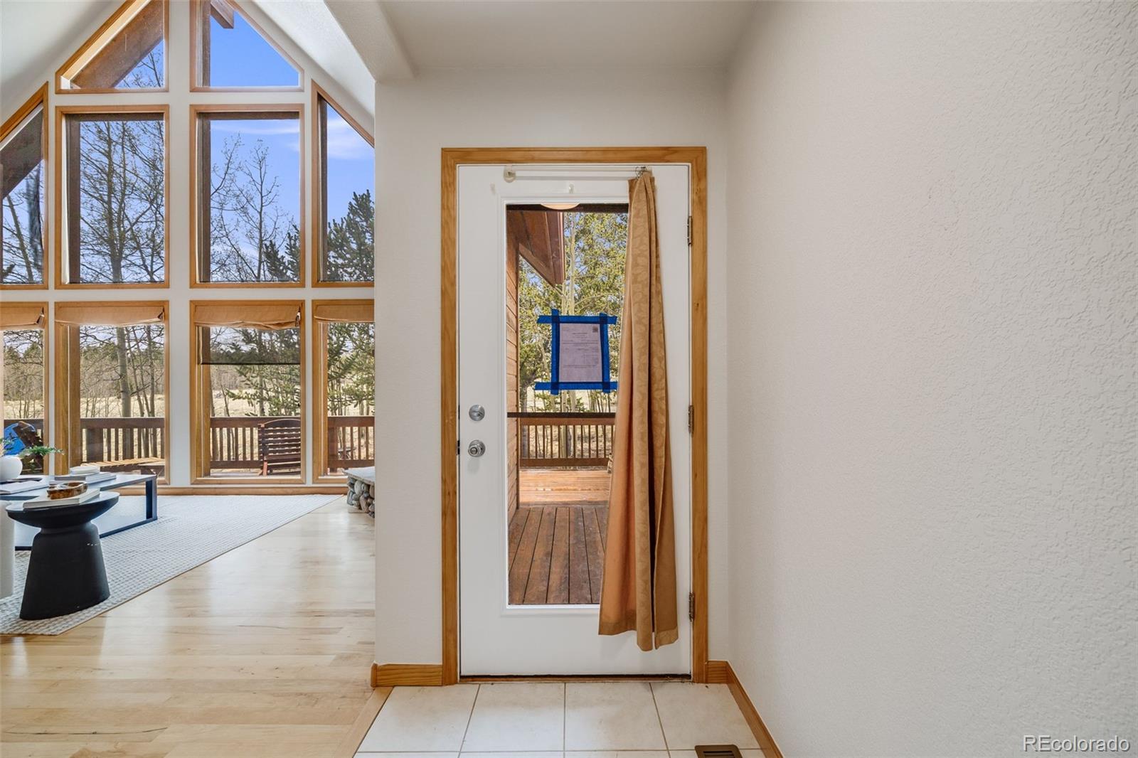 MLS Image #5 for 84  thurber court,fairplay, Colorado