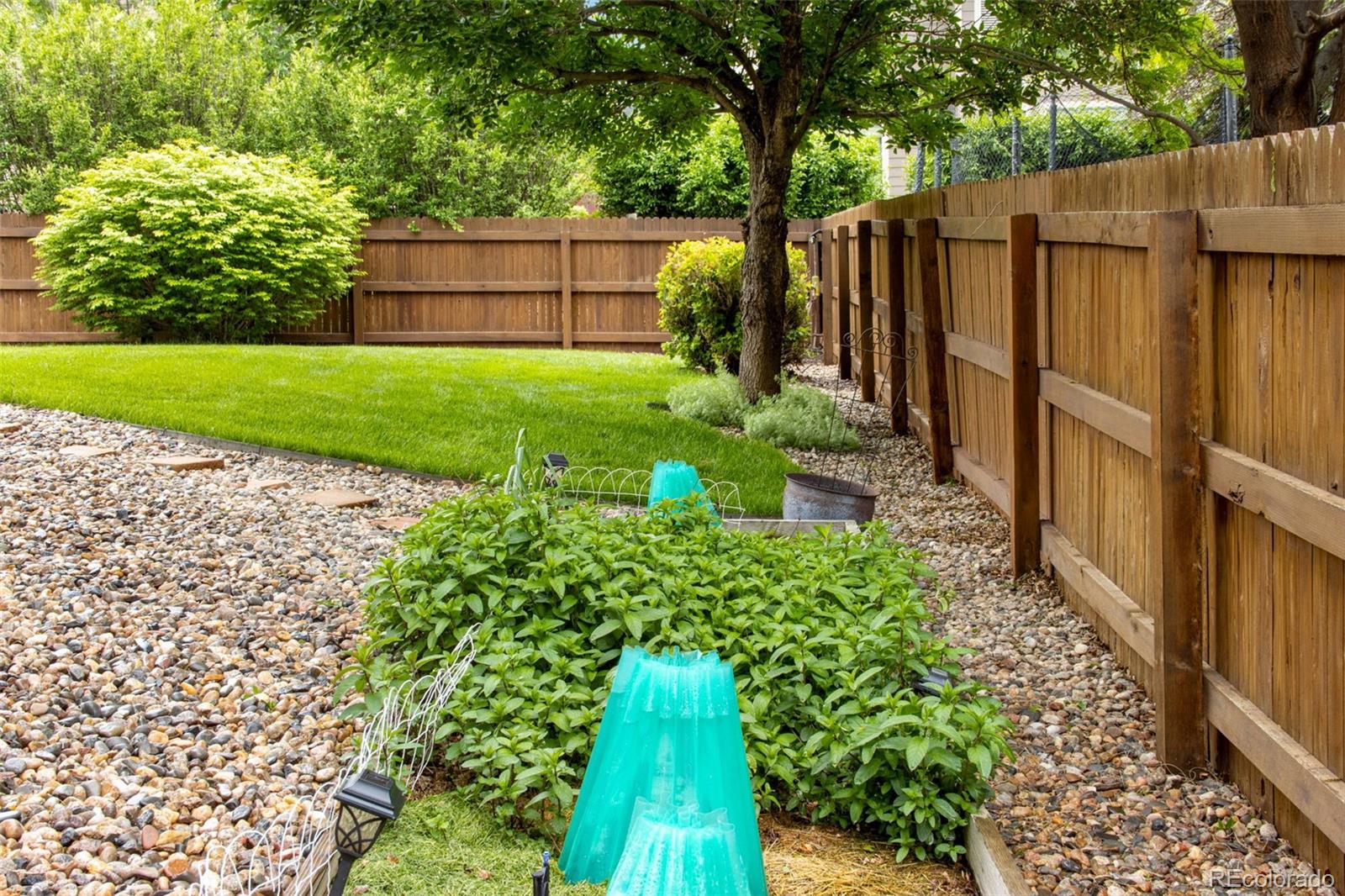 MLS Image #28 for 84  plover way,johnstown, Colorado