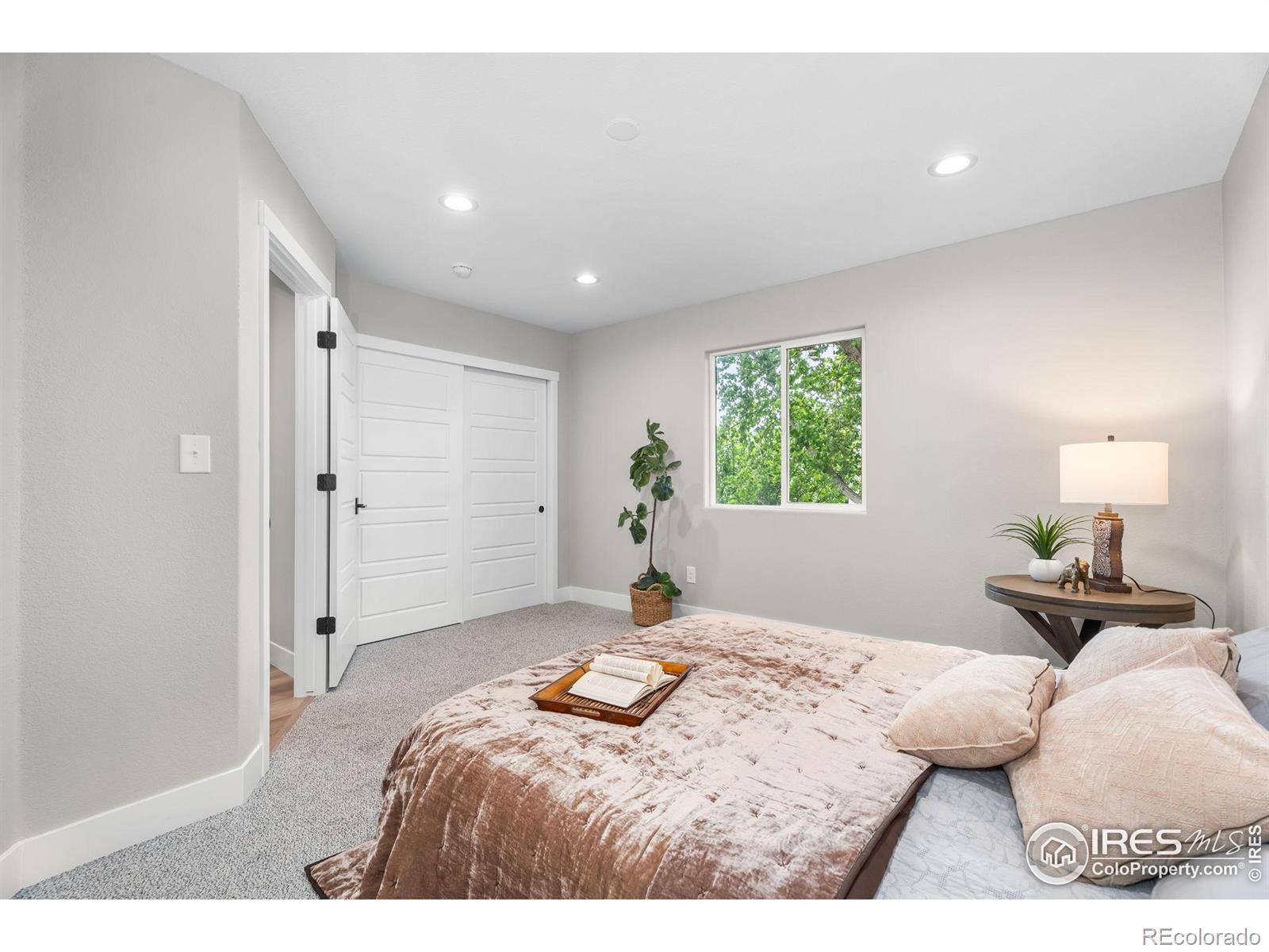 MLS Image #14 for 3557  settler ridge drive,mead, Colorado