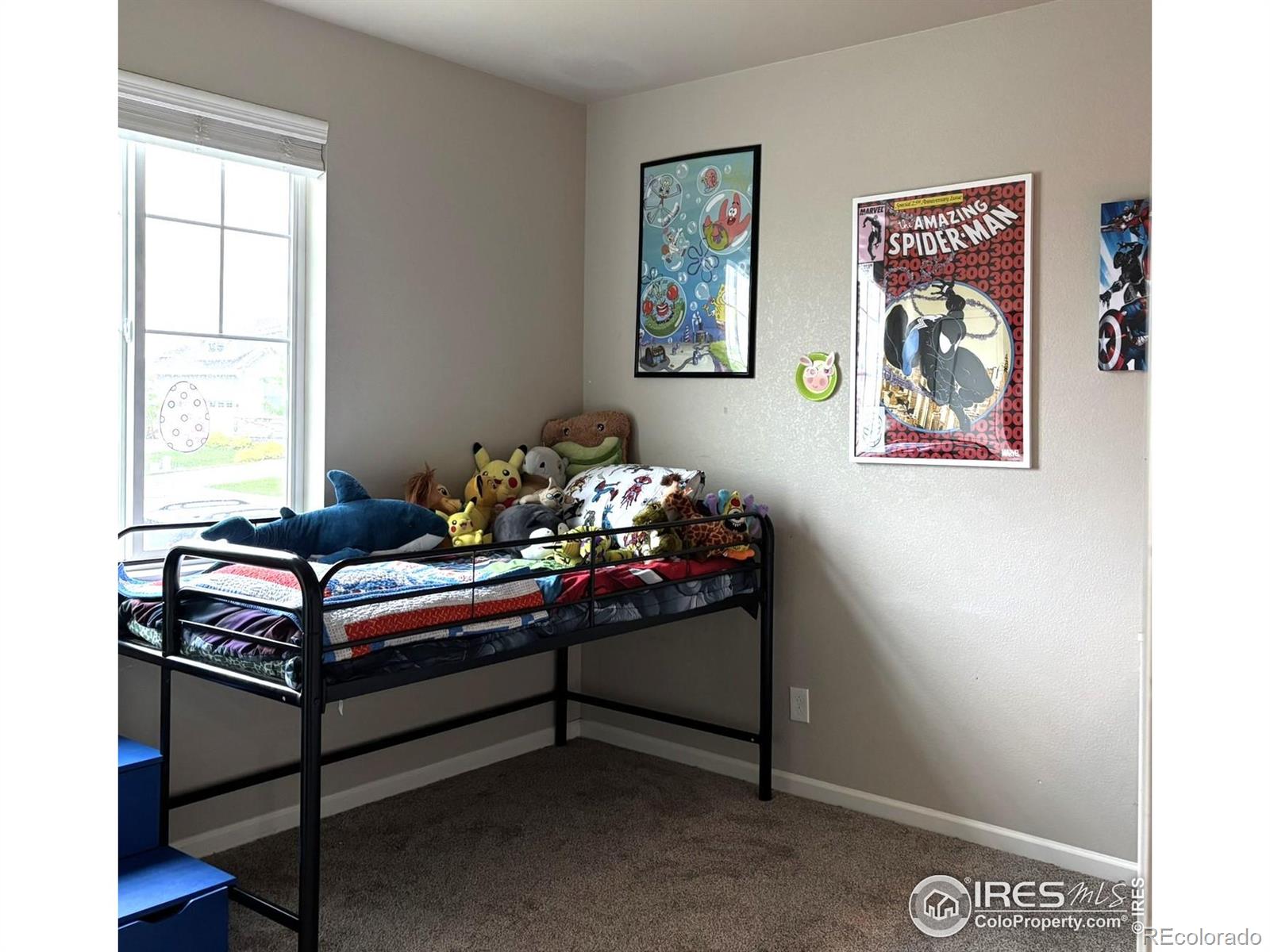 MLS Image #6 for 563  country road,berthoud, Colorado