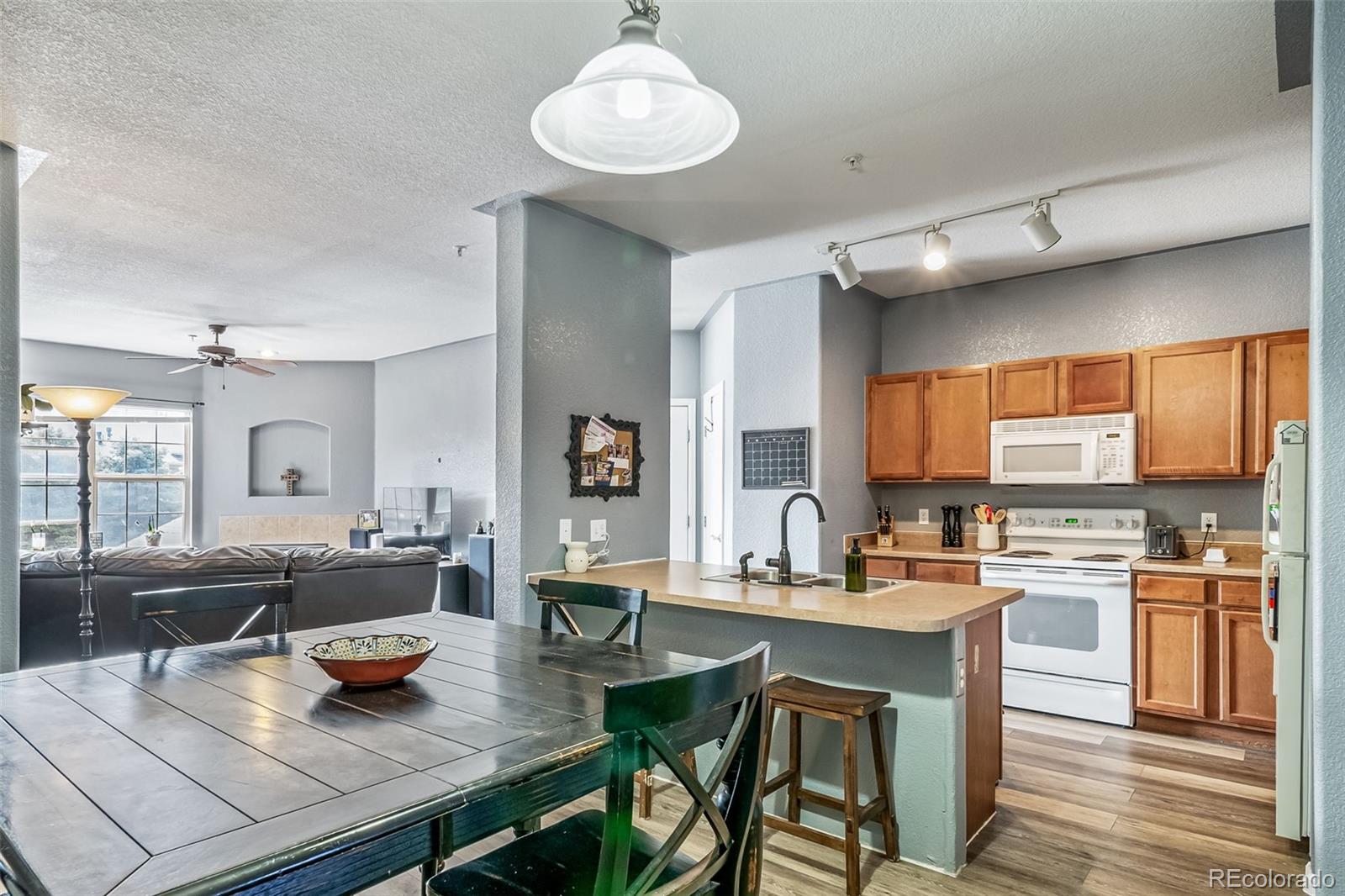MLS Image #28 for 10787  twenty mile road,parker, Colorado