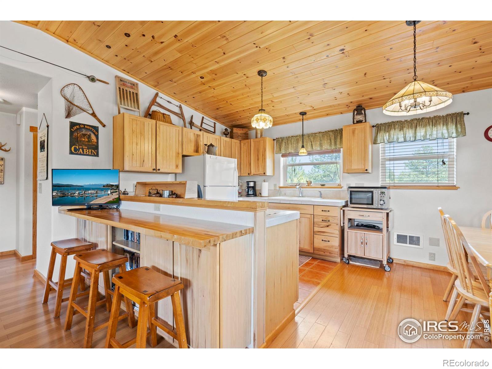 MLS Image #11 for 251  huron road,red feather lakes, Colorado