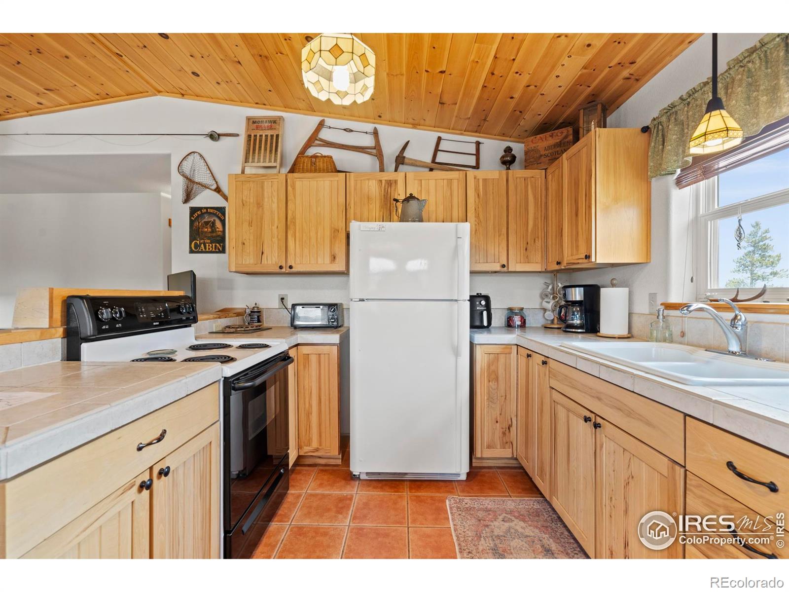 MLS Image #12 for 251  huron road,red feather lakes, Colorado